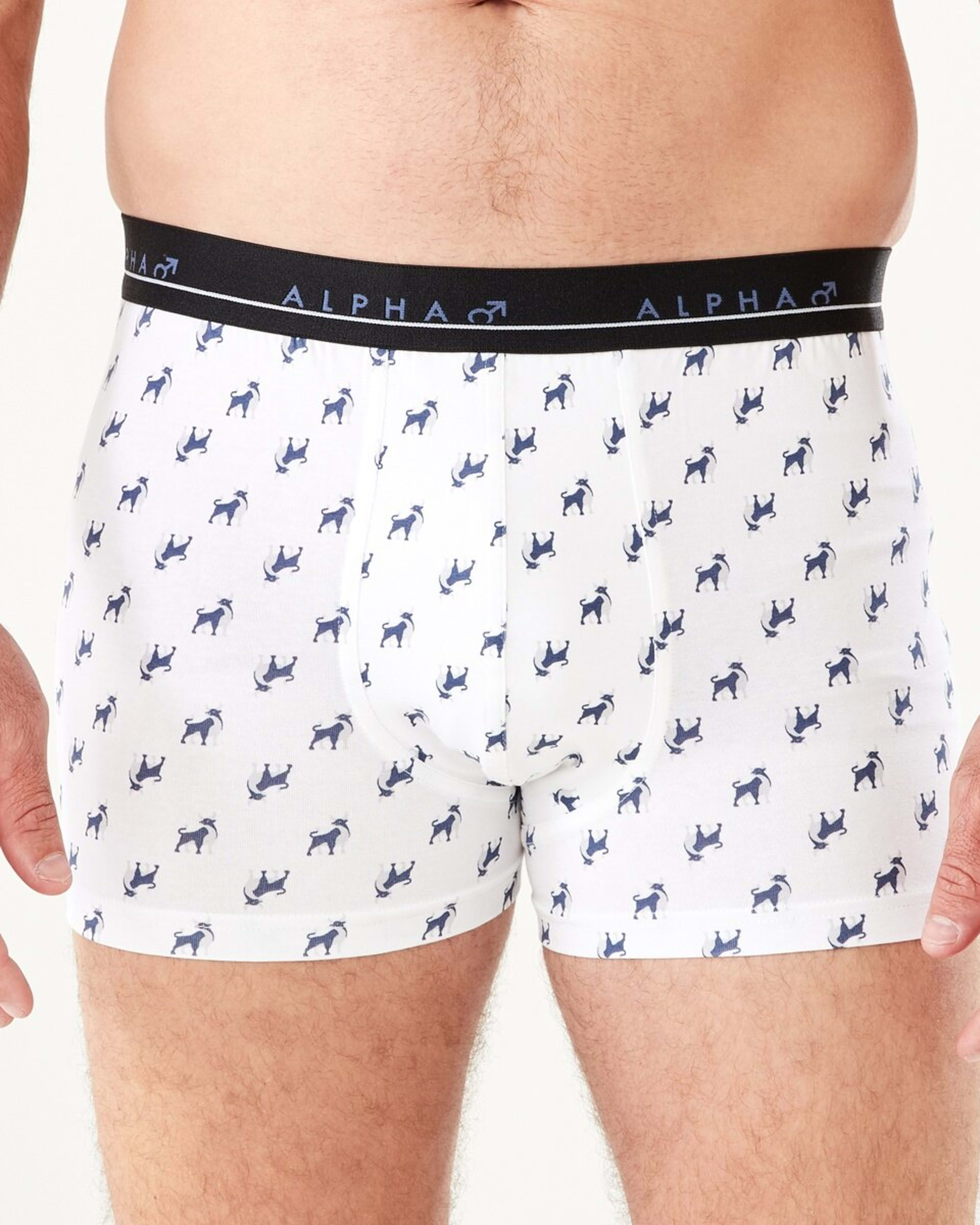 6 5 Pack Trunks BULL ICONS, 6 of 10