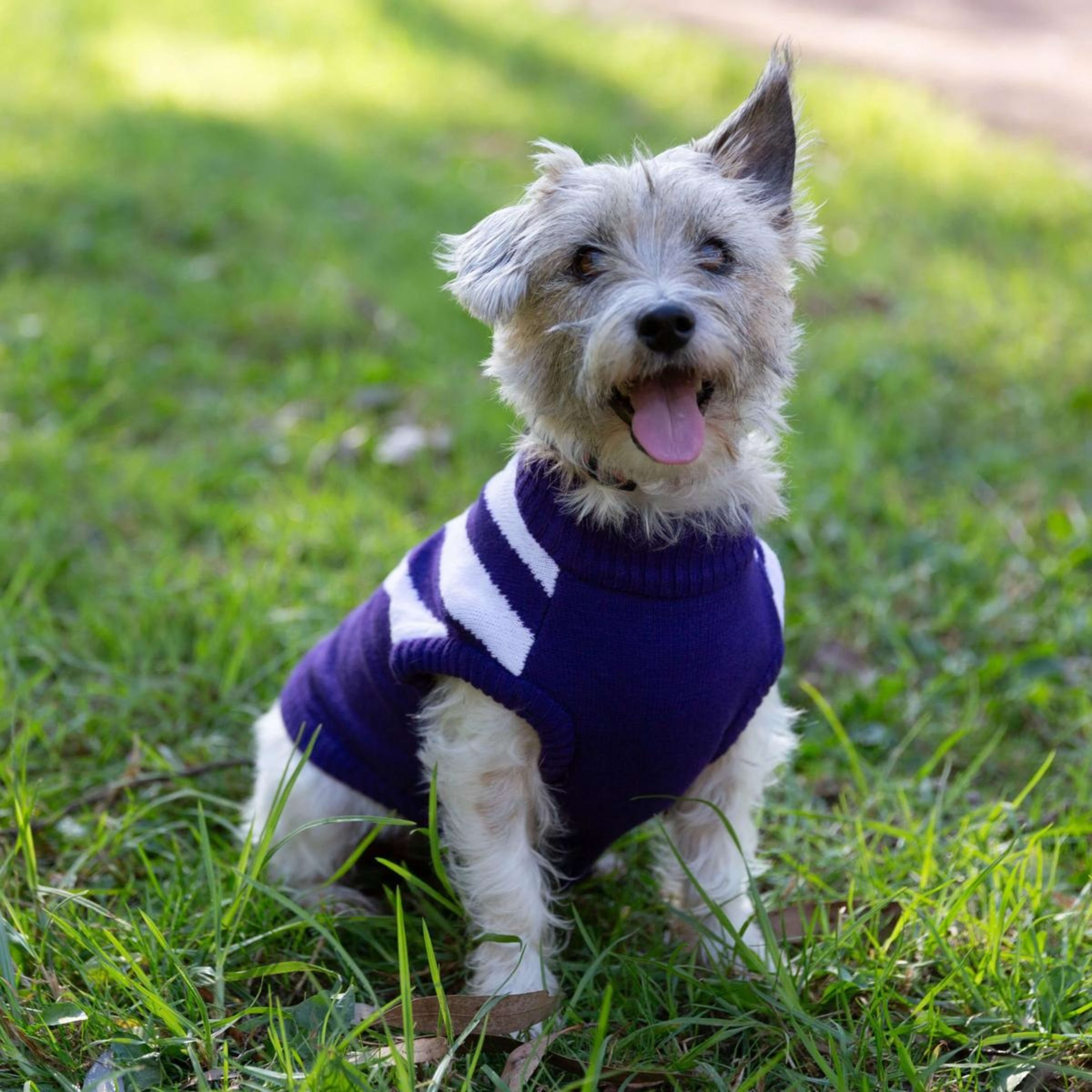 4 AFL Fremantle Dockers Pet Jumper - Medium, 4 of 4