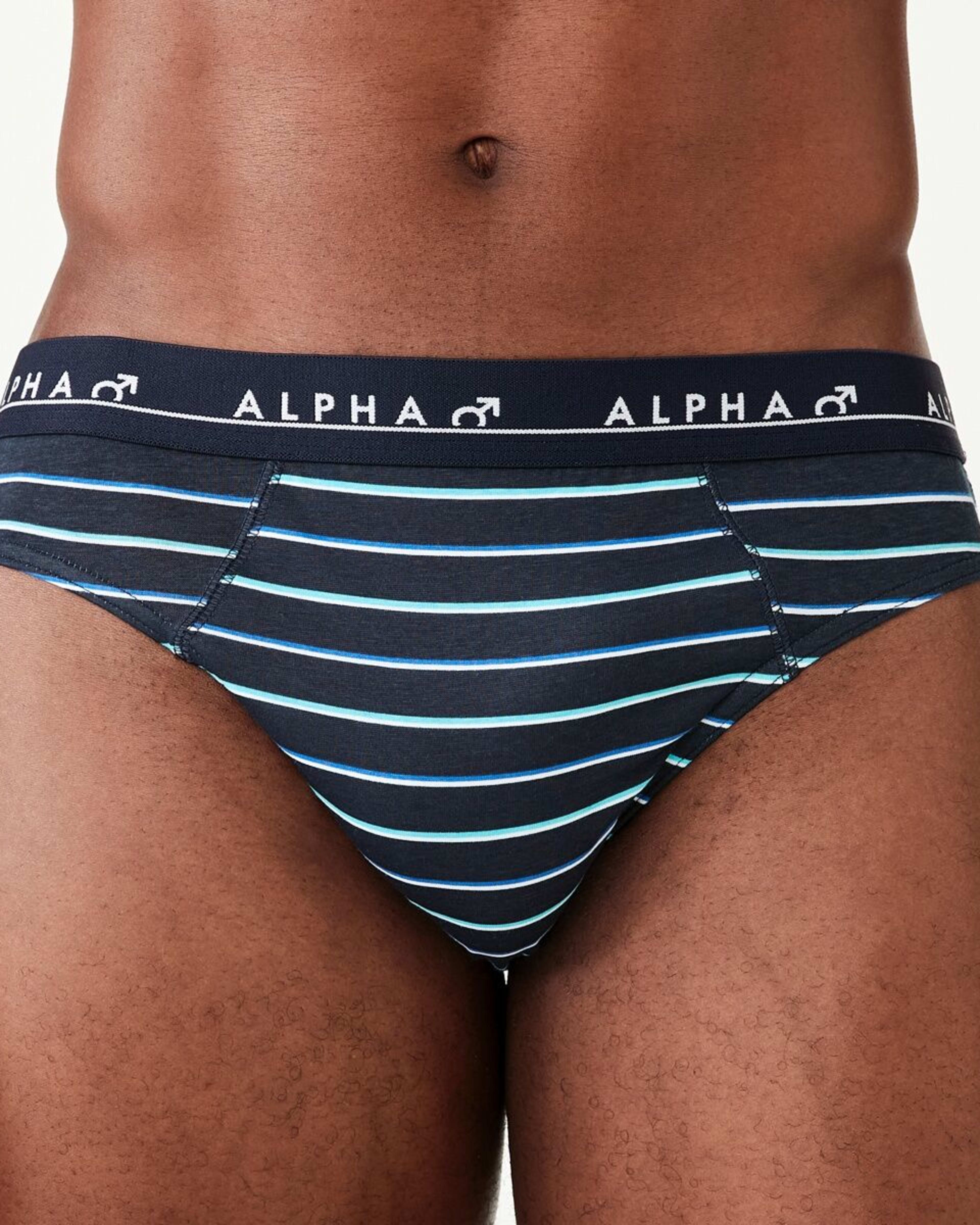 6 5 Pack Alpha Attached Elastic Hipster Briefs LIGHTSCAPE, 6 of 10