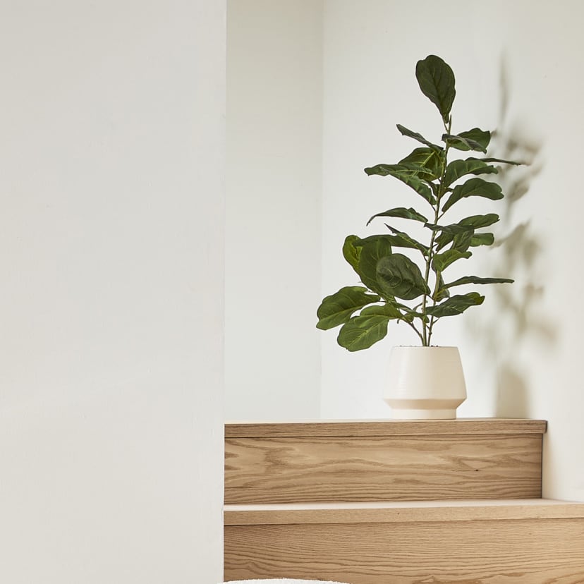 Artificial Fiddle Leaf in Pot - Kmart