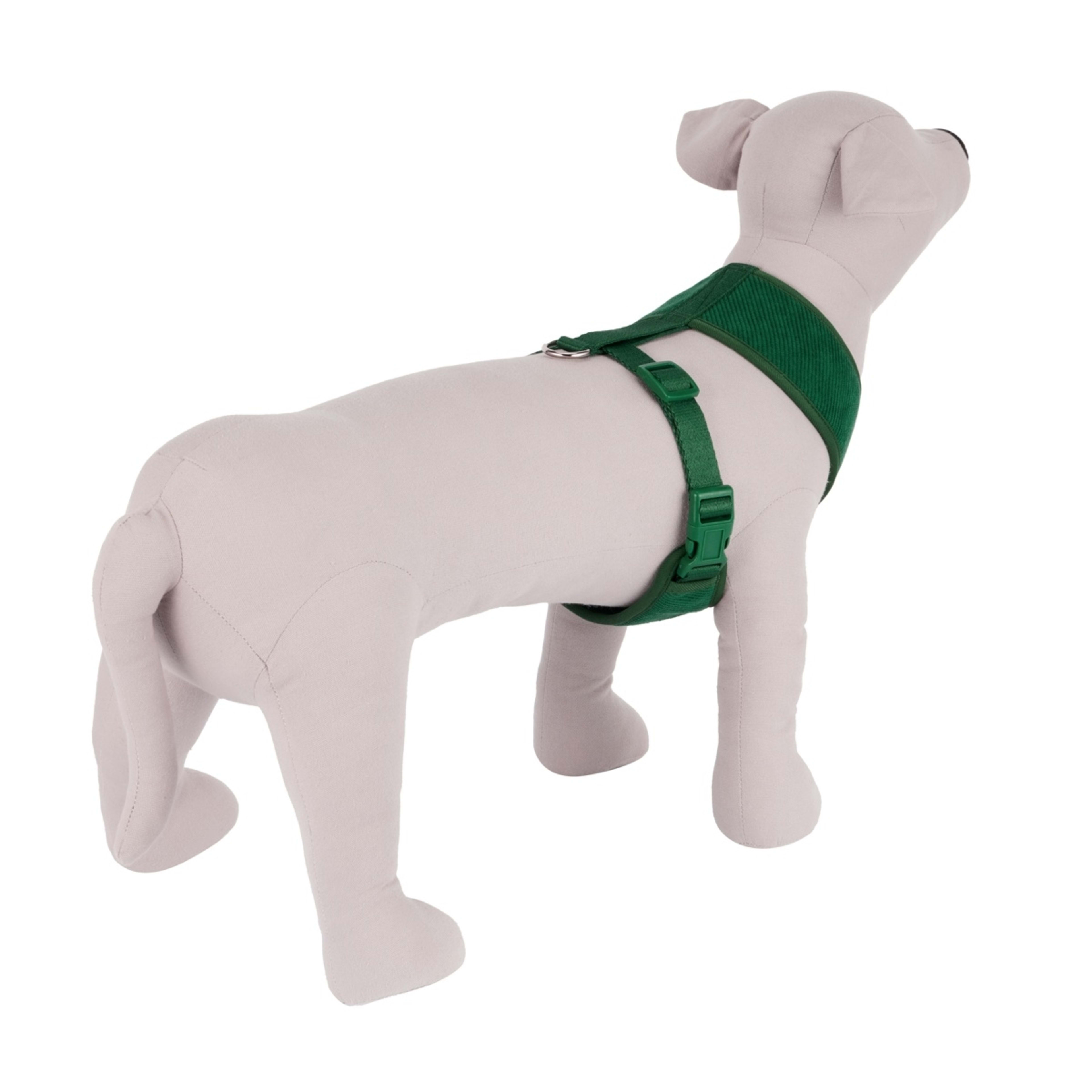 3 Pet Corduroy Harness - Medium, Deep Green, 3 of 9
