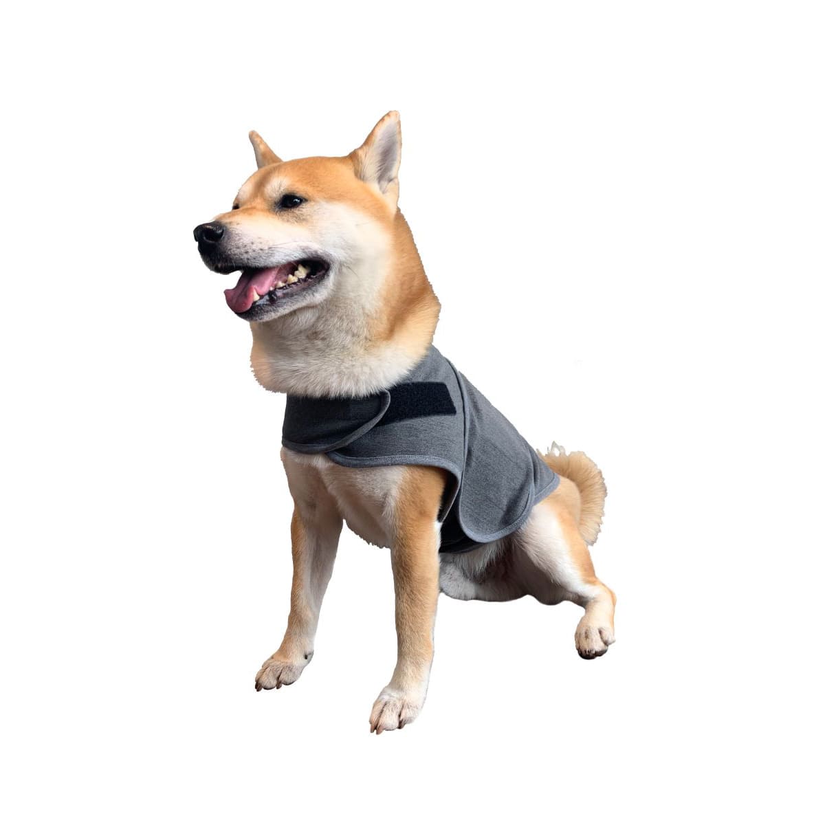 dog anxiety jacket kmart