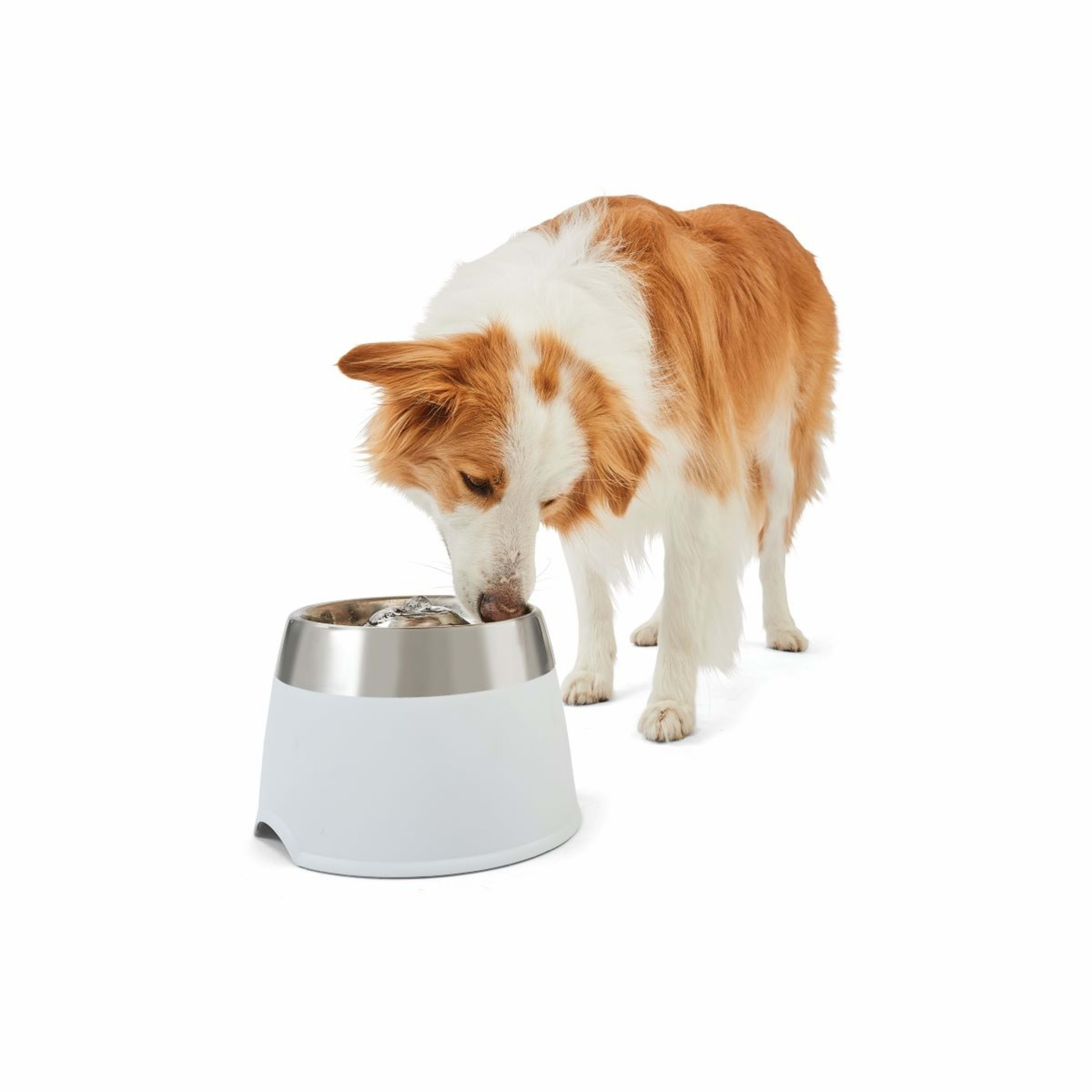 2 Pet Water Fountain, 2 of 10
