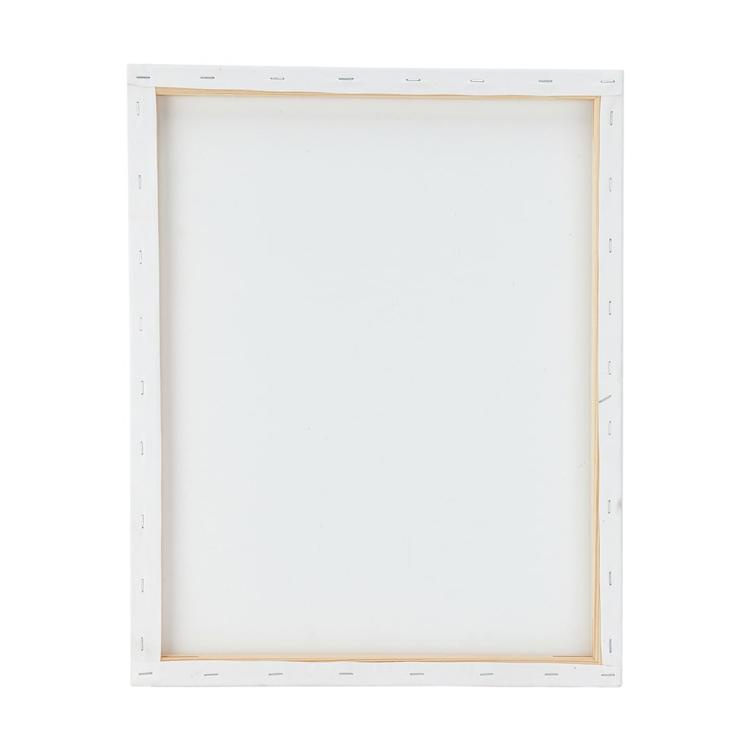 16in. x 20in. Stretch Canvas - Kmart