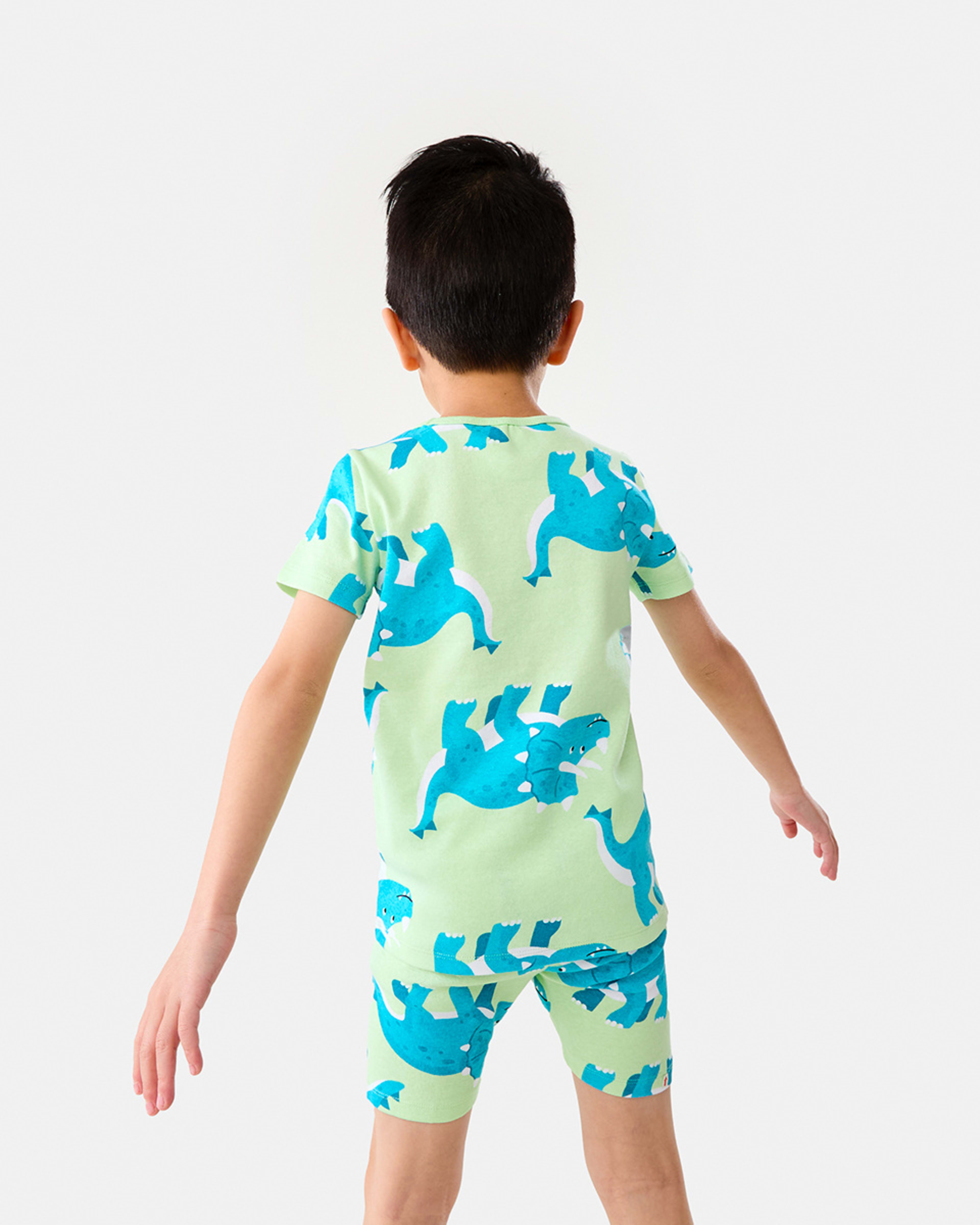 2 Short Sleeve Rib Knit Pyjama Set Dinopatgrn, 2 of 10