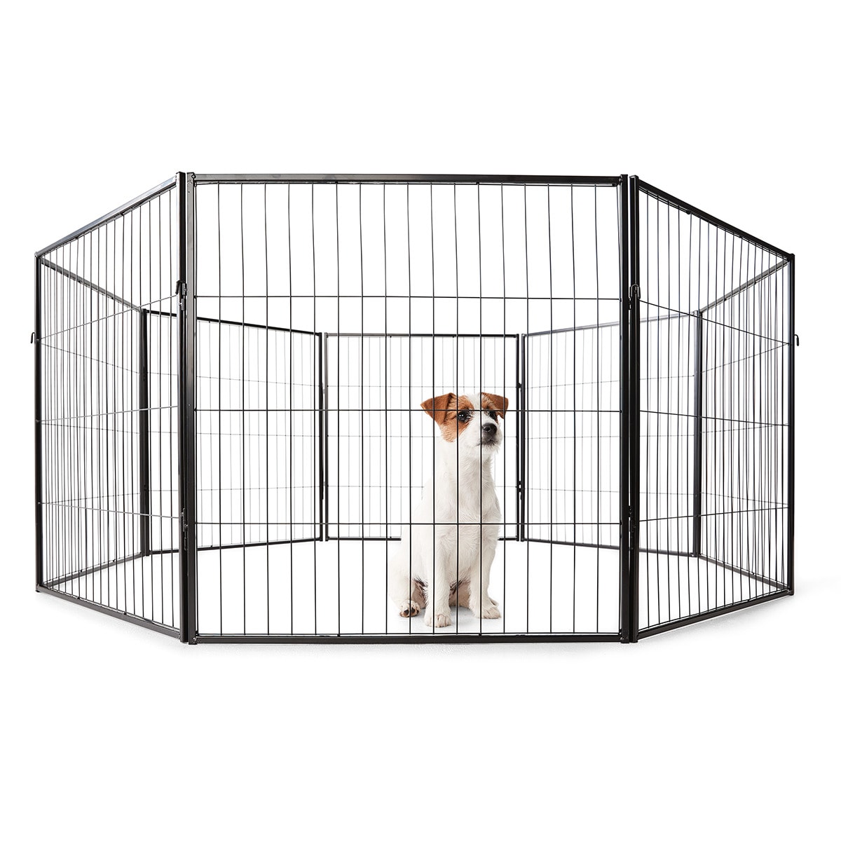 Dog crates kmart hotsell