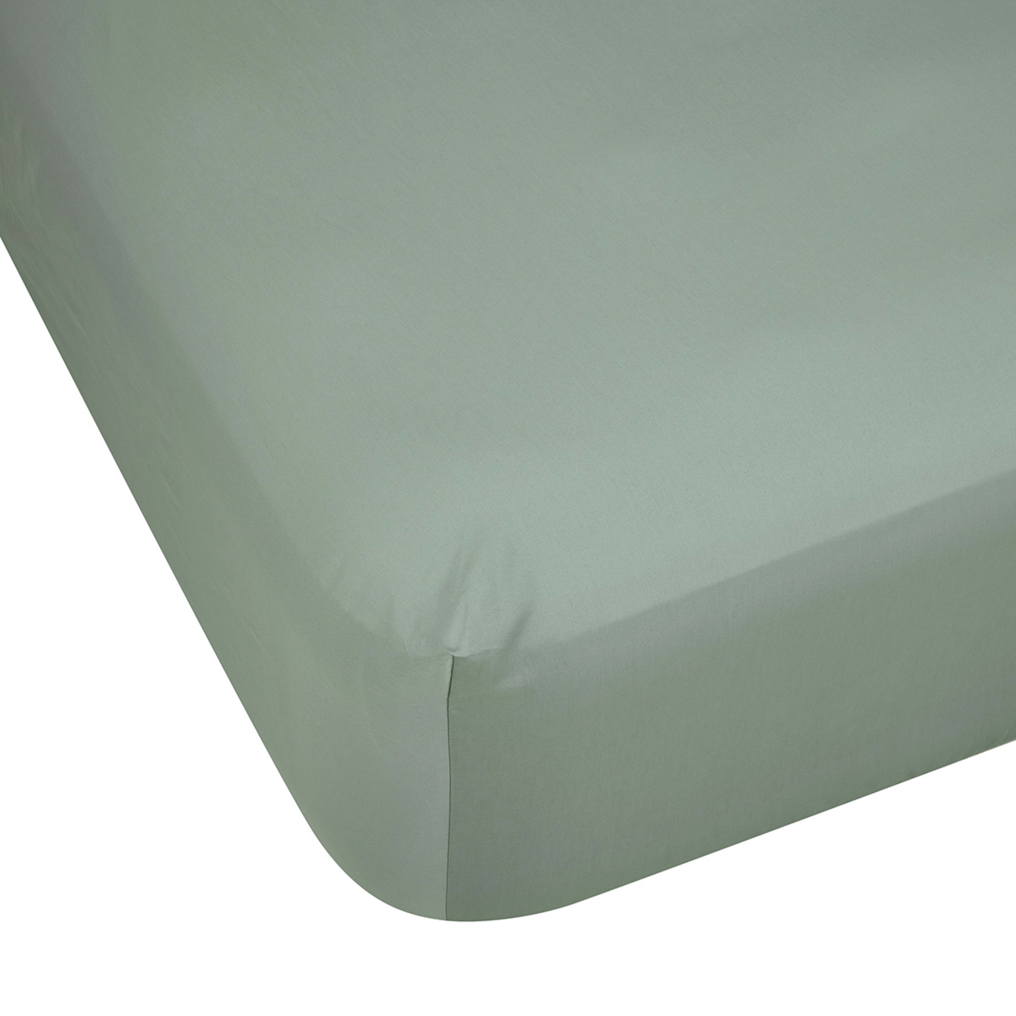 1 500 Thread Count Australian Grown Cotton Fitted Sheet - Double Bed, Sage