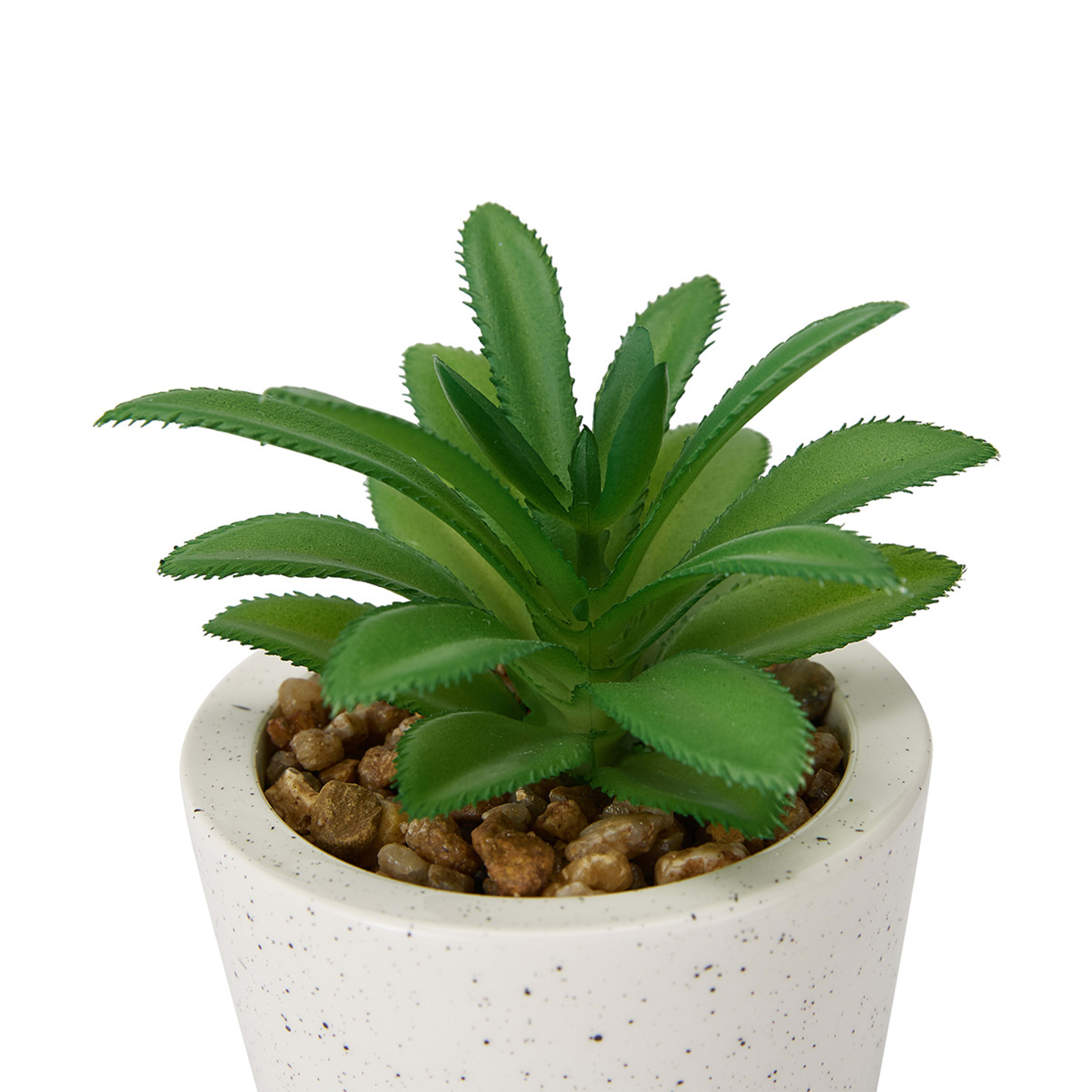 4 Artificial Succulent in Pot - Assorted, 4 of 7