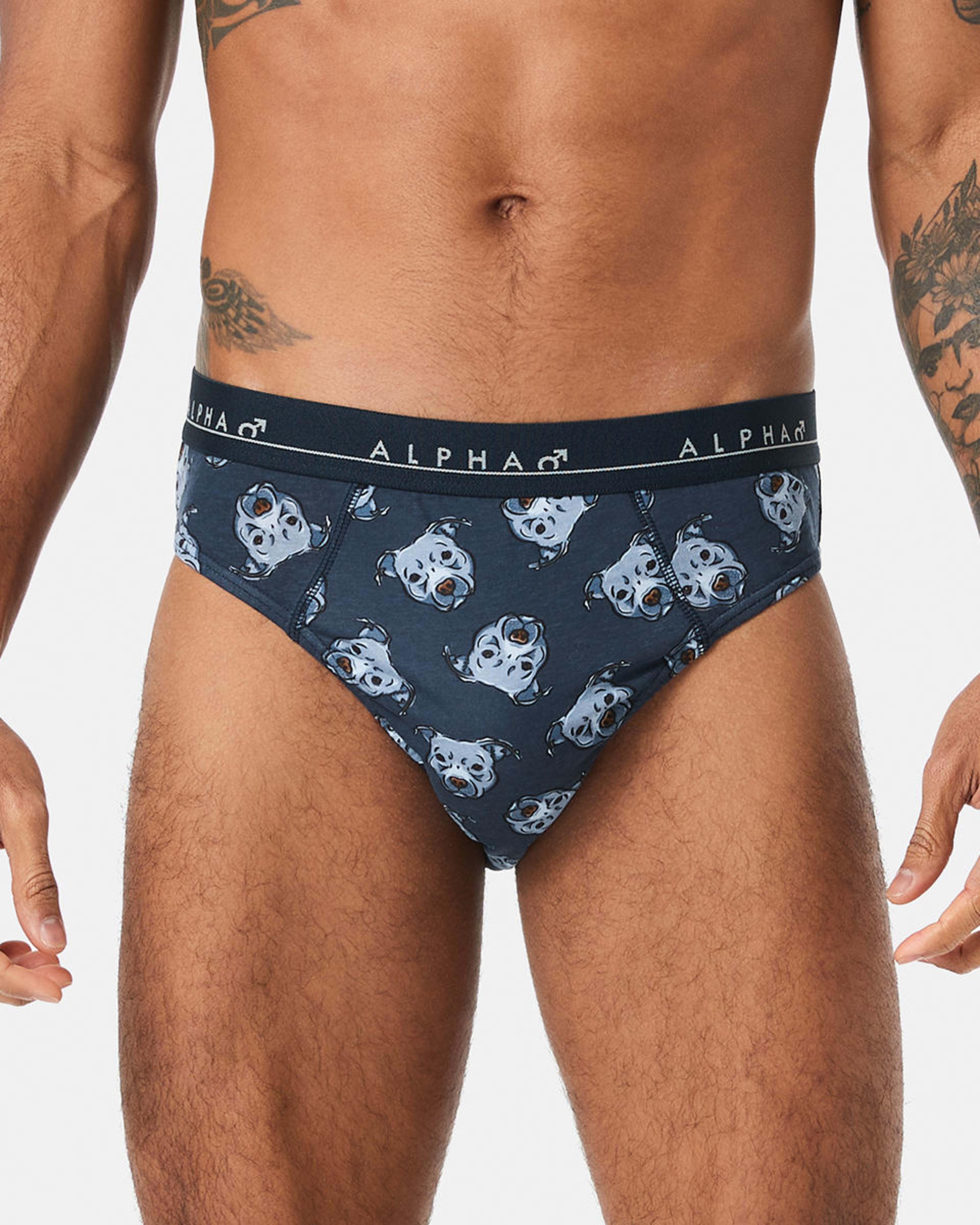 2 5 Pack Printed Briefs Dogshead, 2 of 10