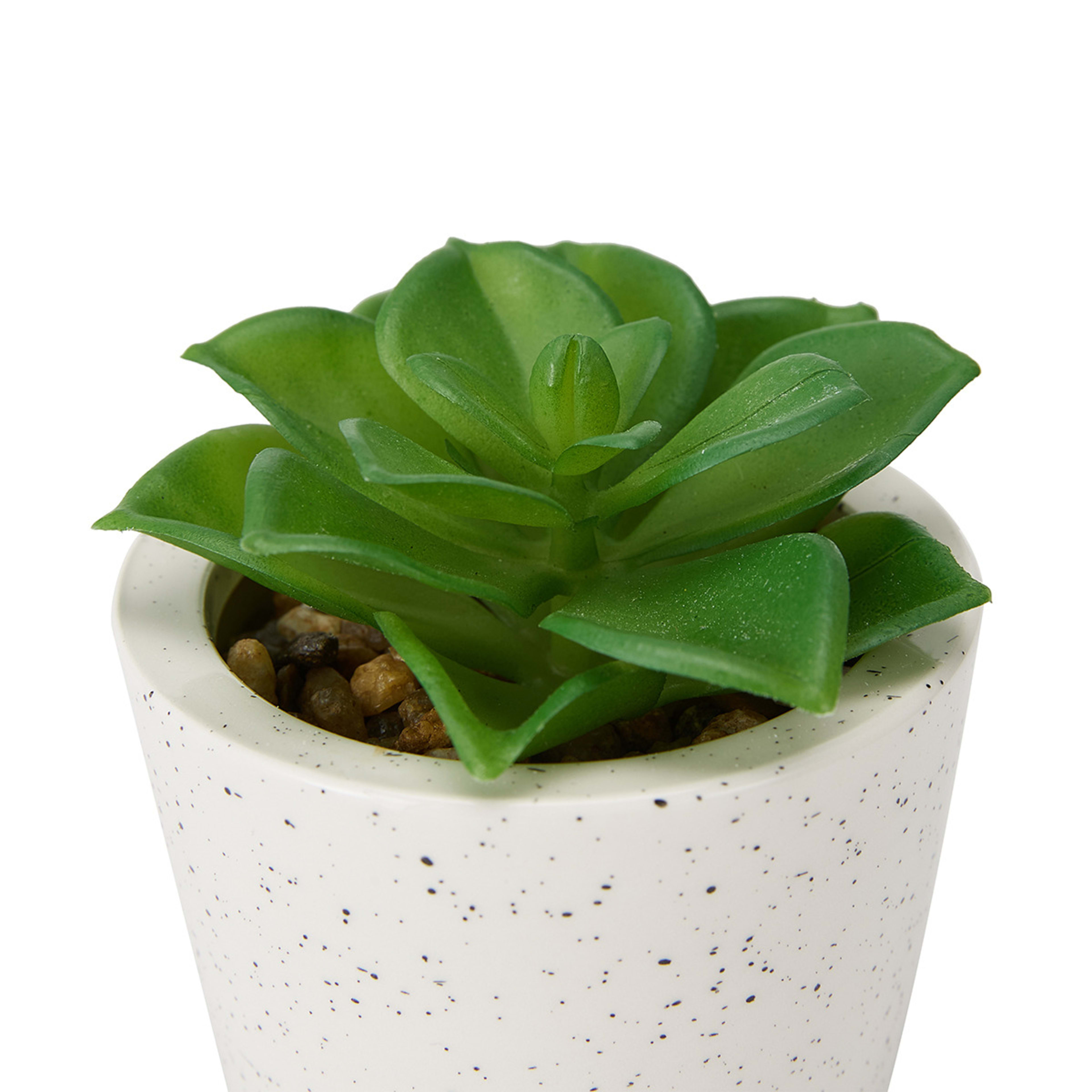 5 Artificial Succulent in Pot - Assorted, 5 of 7