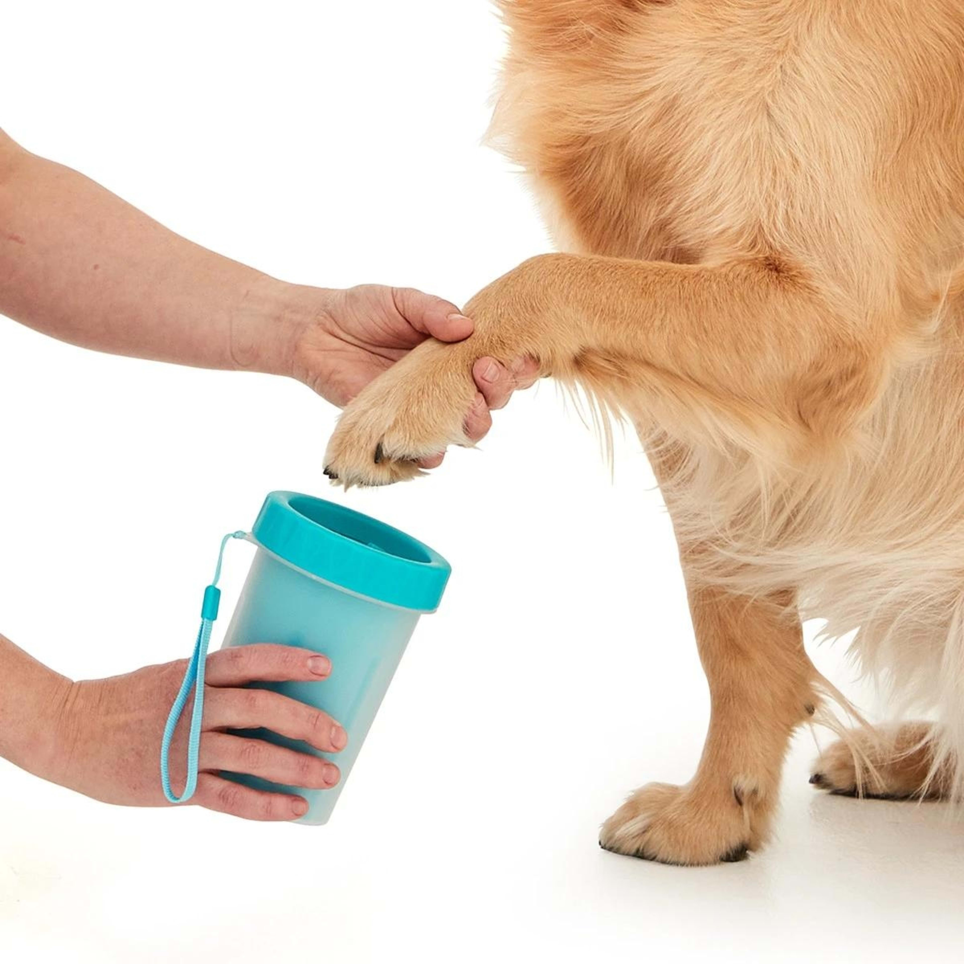 1 Dog Paw Cleaner, 1 of 8