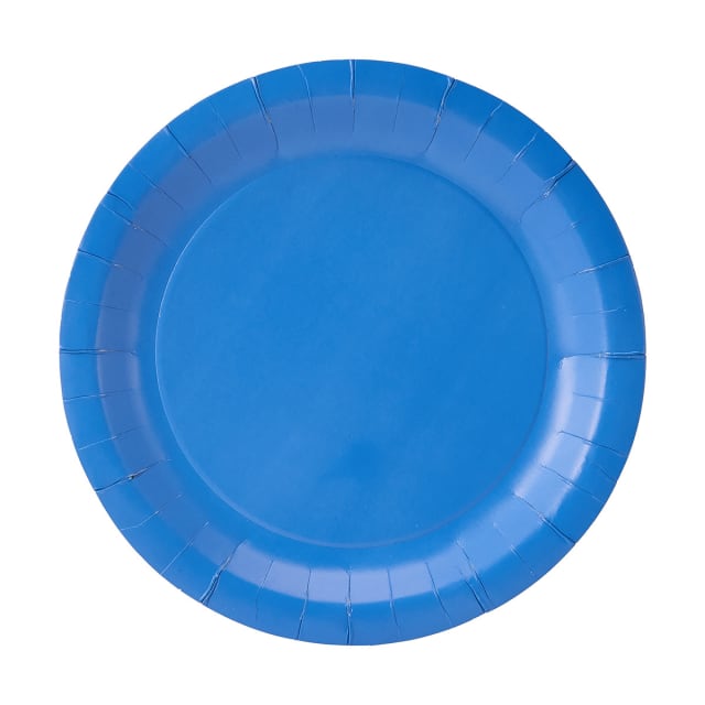 16 Pack Blue Paper Plates Kmart