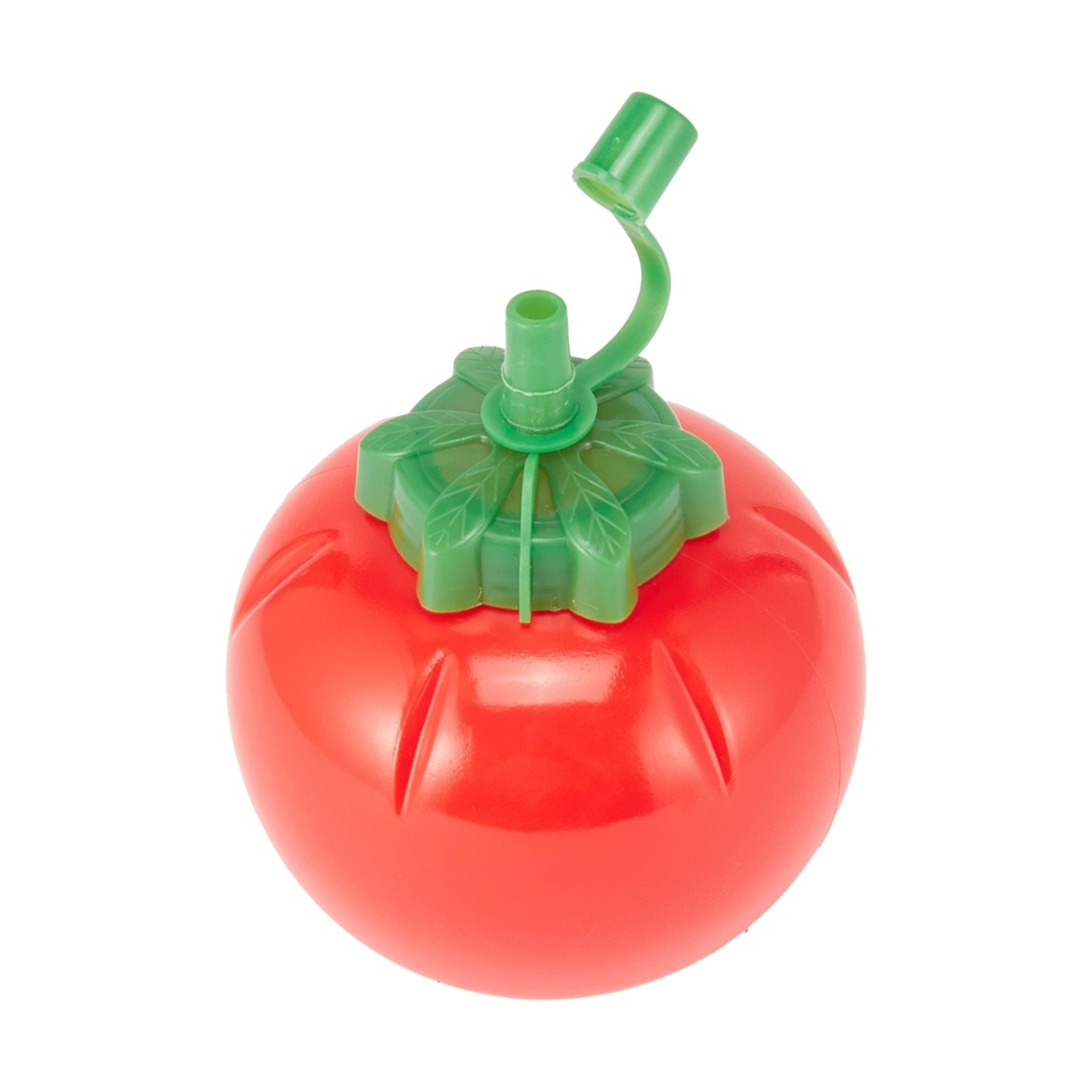 1 Tomato Sauce Bottle