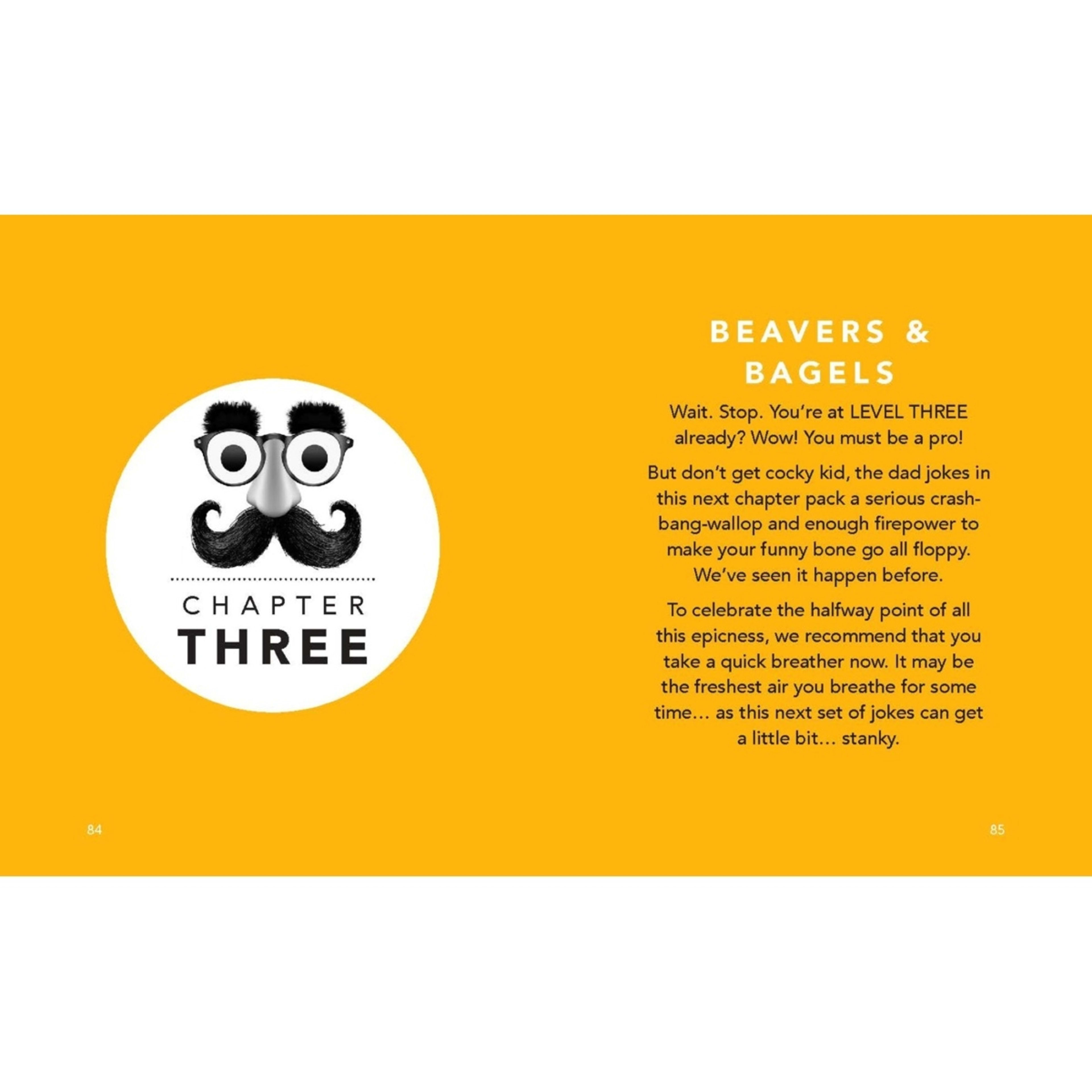 3 The Little Book of Epic Dad Jokes - Book, 3 of 3