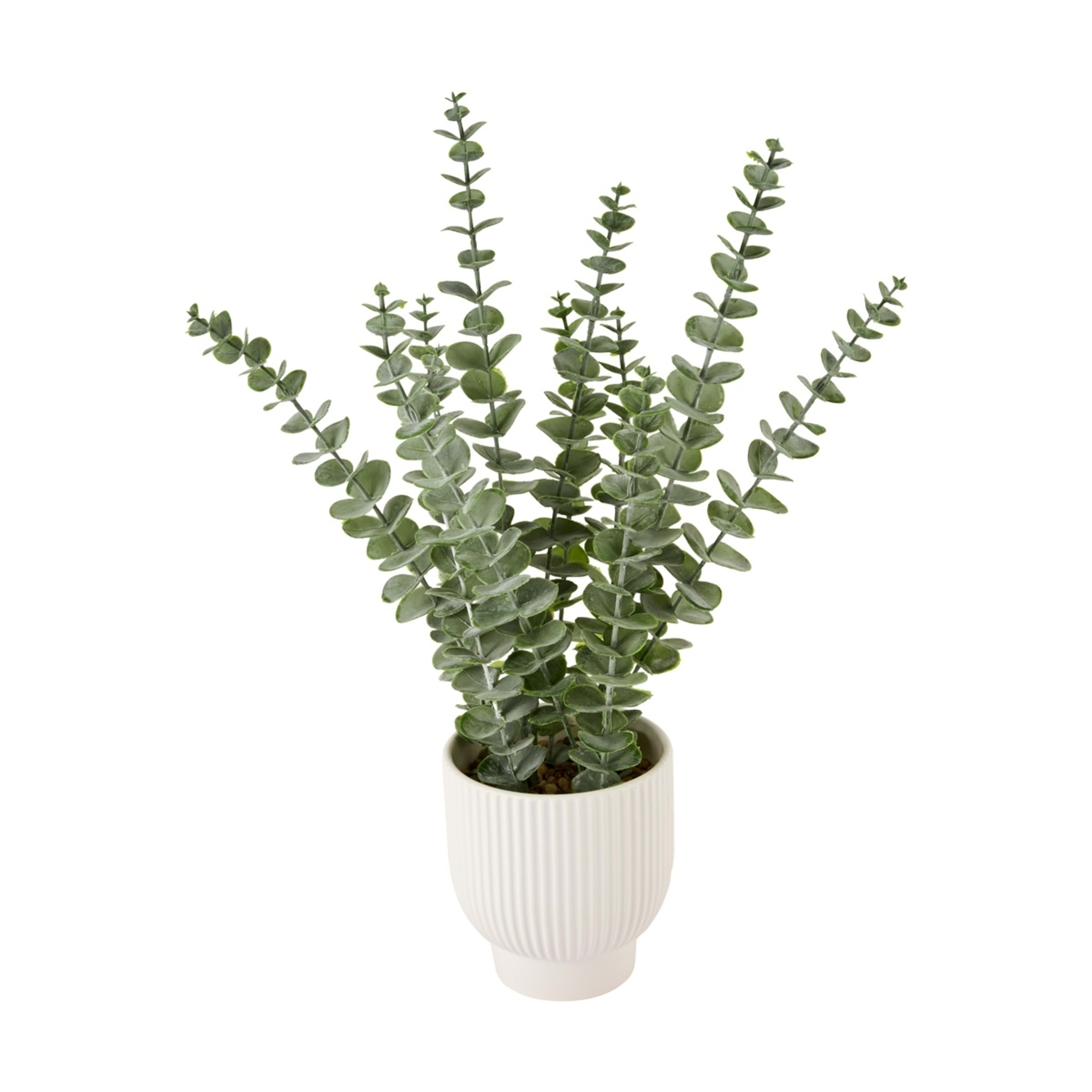 1 Artificial Eucalyptus in Pot