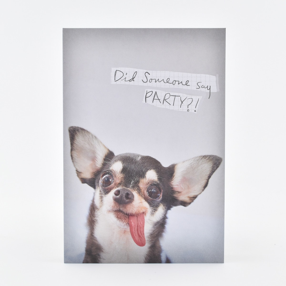 Chihuahua with Present Hallmark Pop Up Birthday Card 