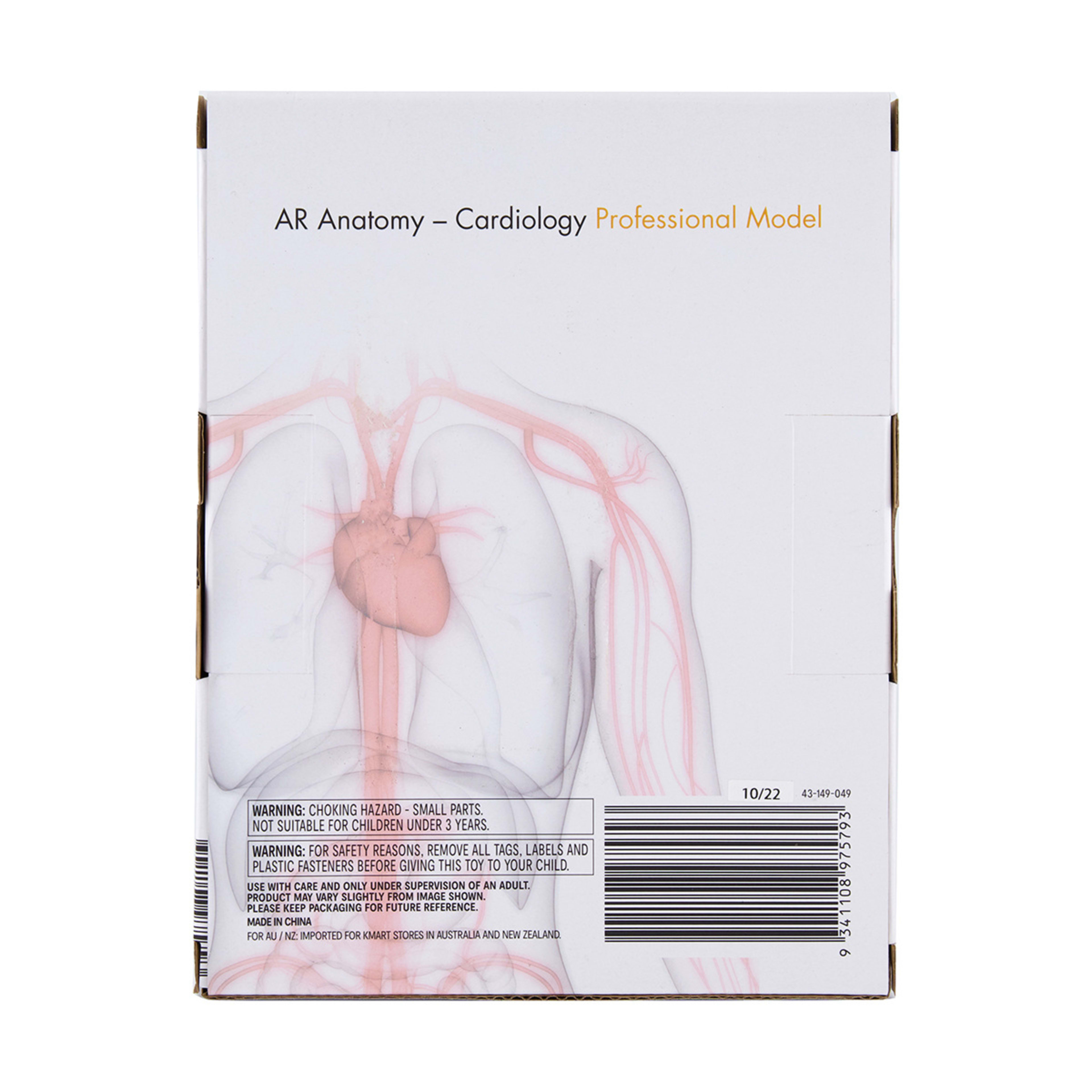 AR Anatomy Professional Model Cardiology Kmart