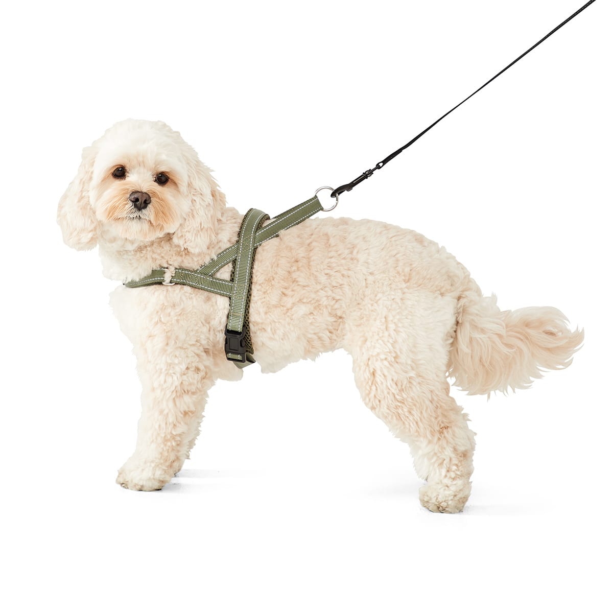 Dog Fast Clip Harness Medium Kmart NZ