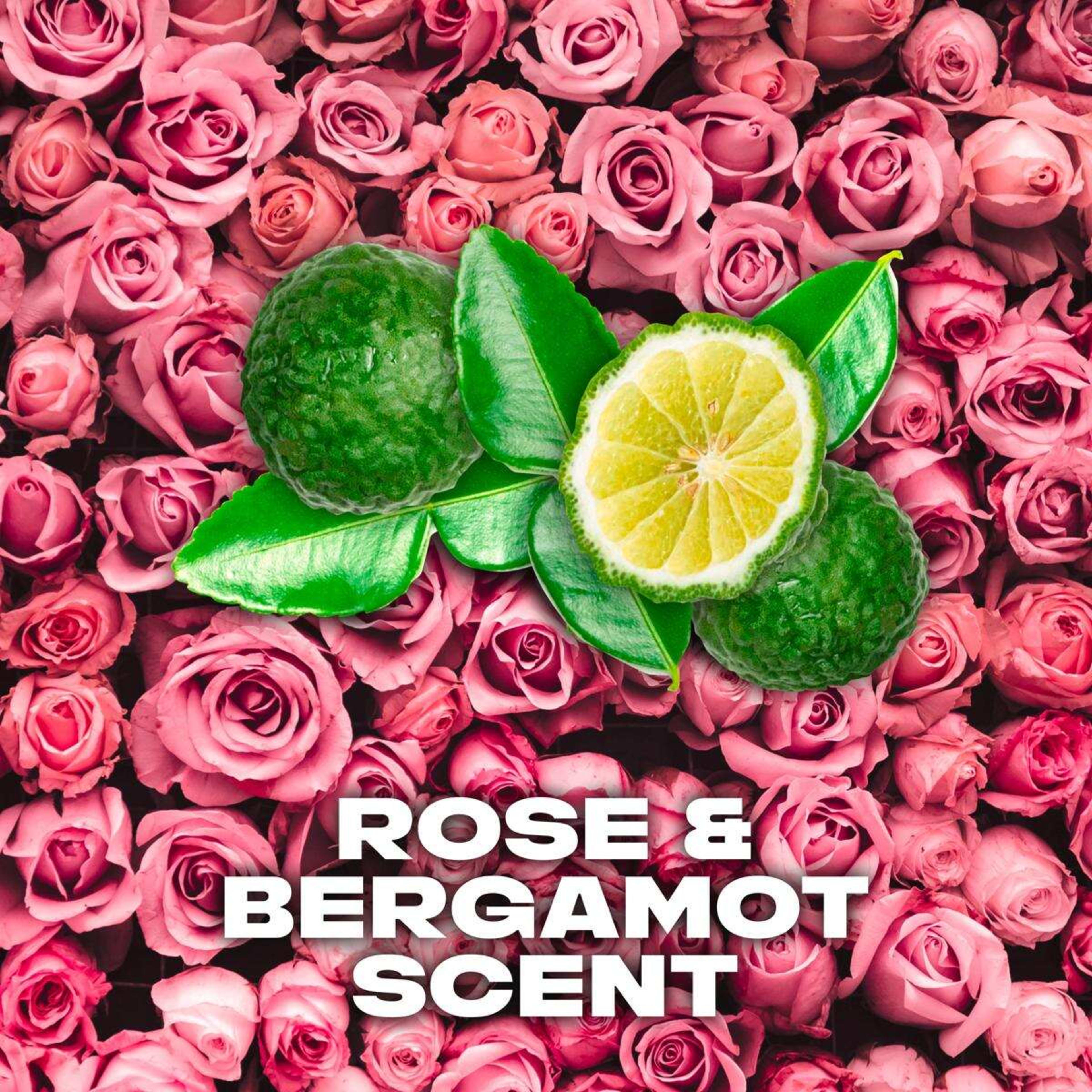 3 LYNX Anarchy For Her Deodorant Bodyspray - Rose and Bergamot Scented, 3 of 7