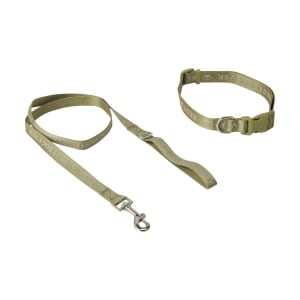 Best Dog Ever Collar and Lead Set - Medium, Green