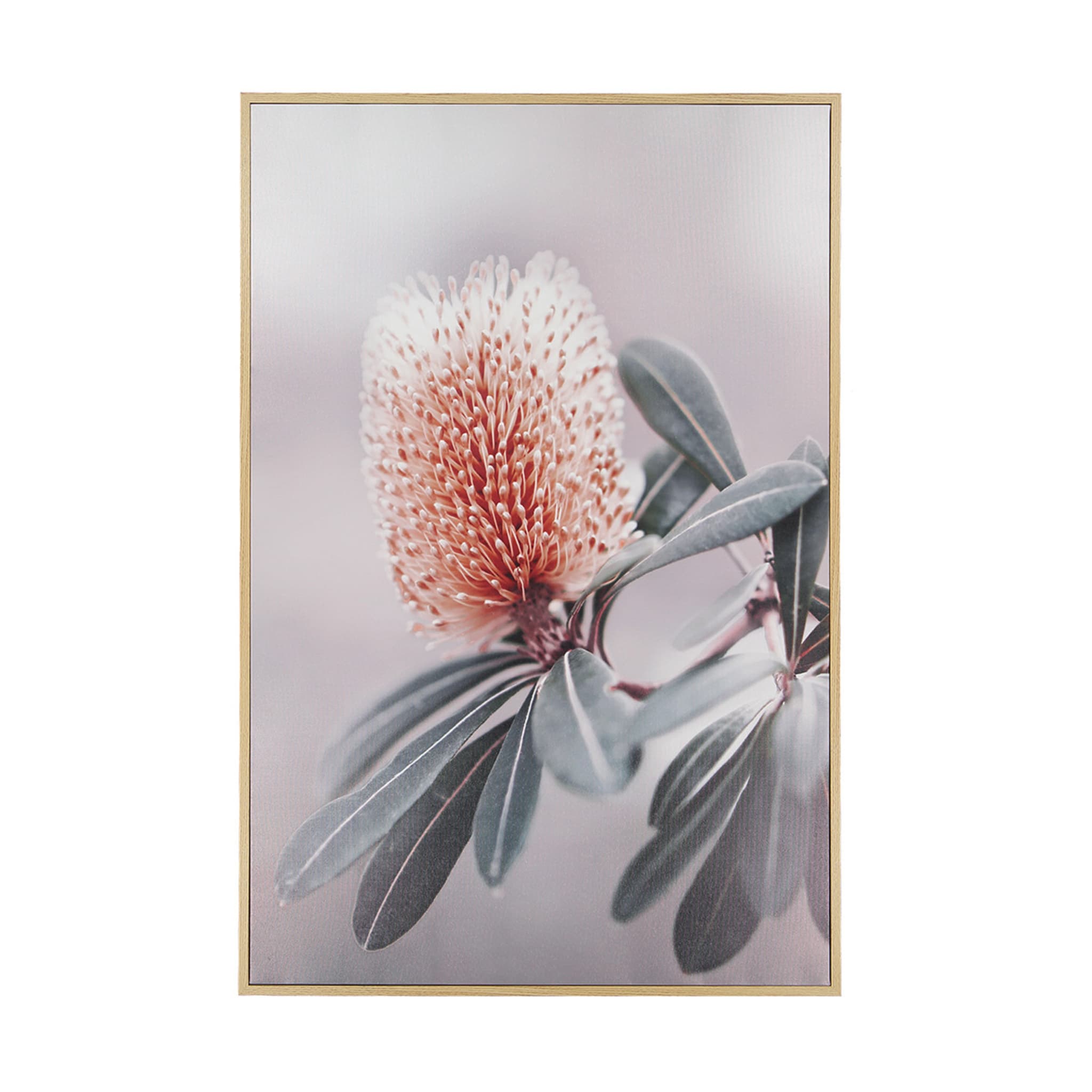 Banksia Framed Canvas Kmart
