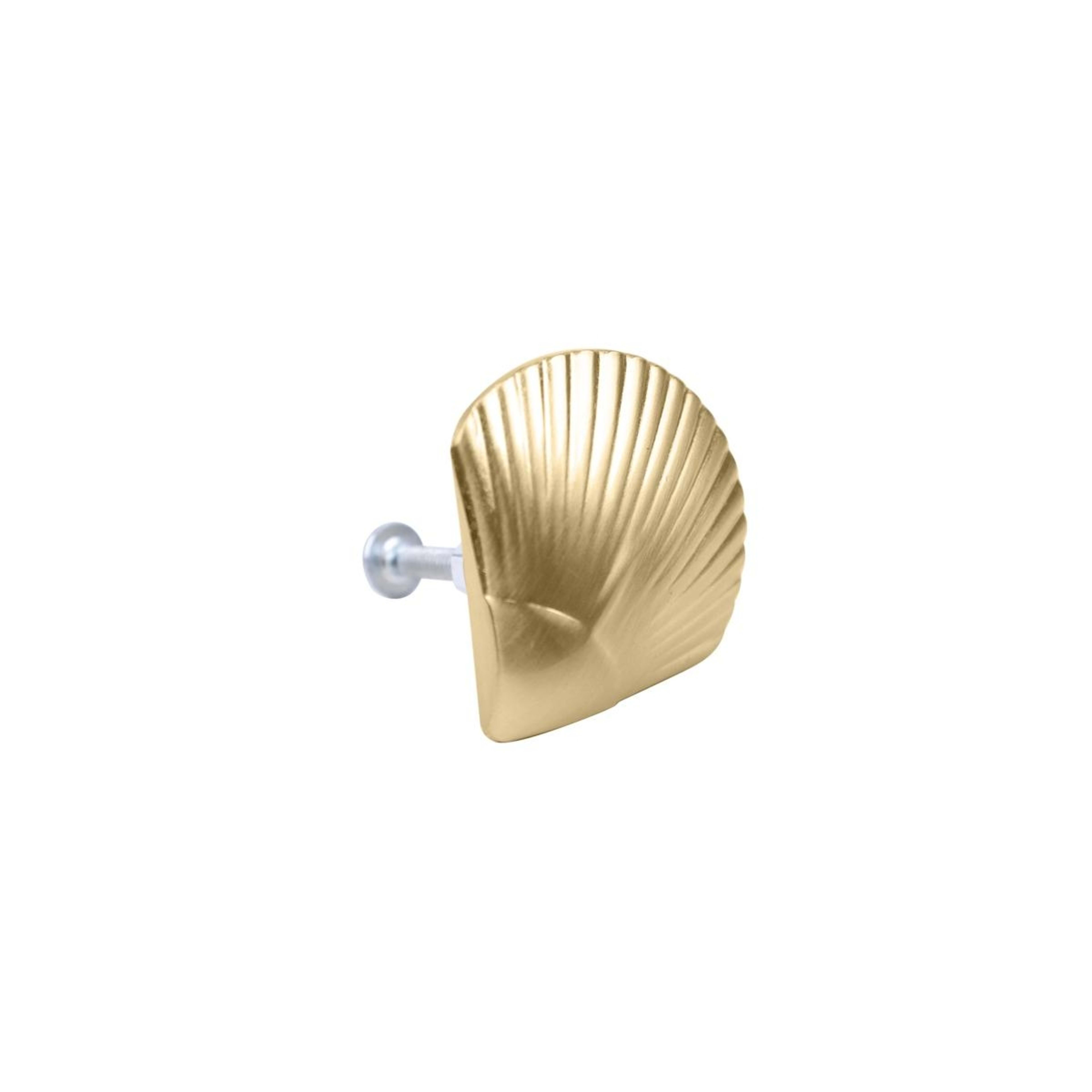 4 2 Pack Shell Handles - Gold Look, 4 of 8
