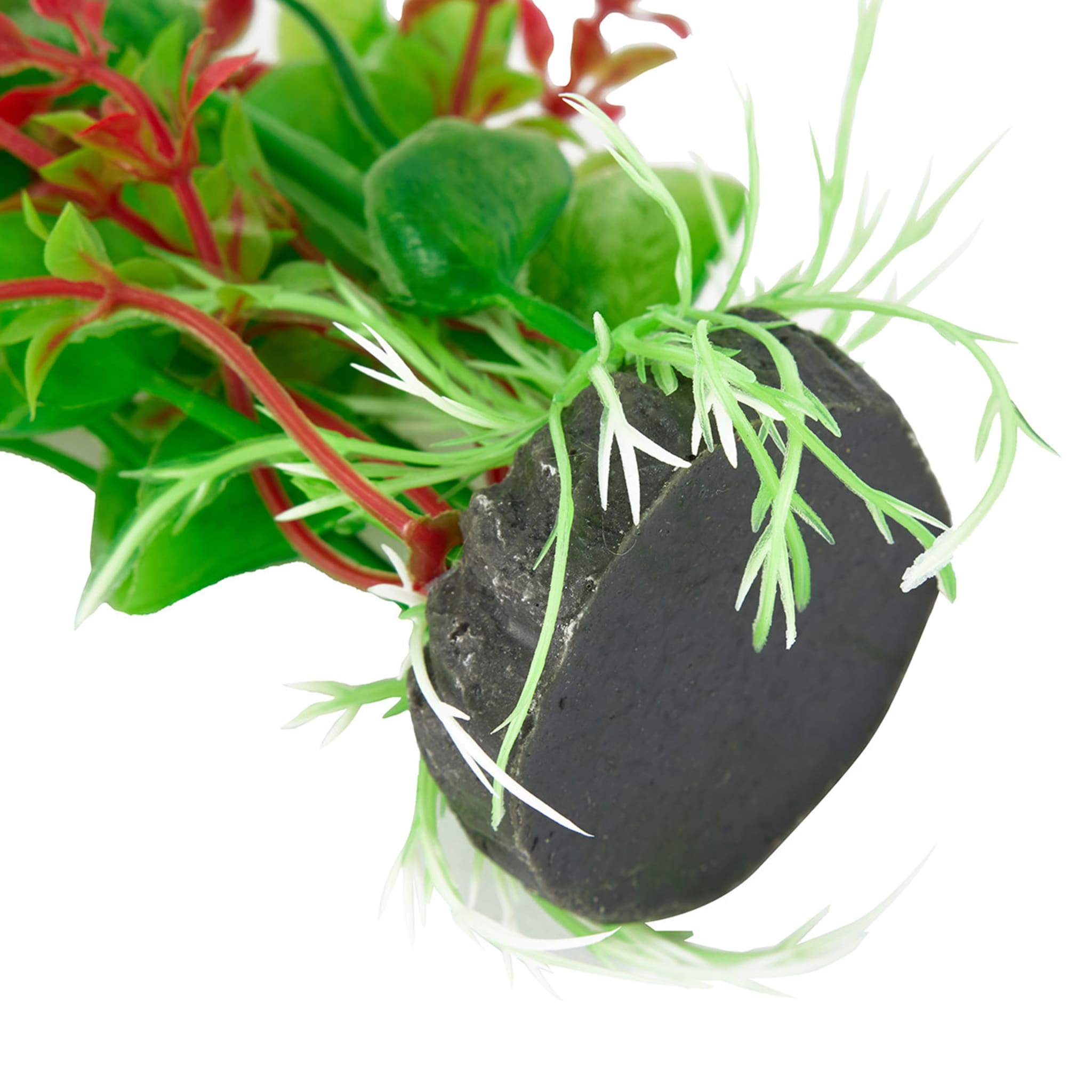 2 Pack Aquarium Plants Natural Kmart