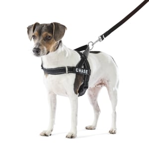 Pet Customisable Harness - Small