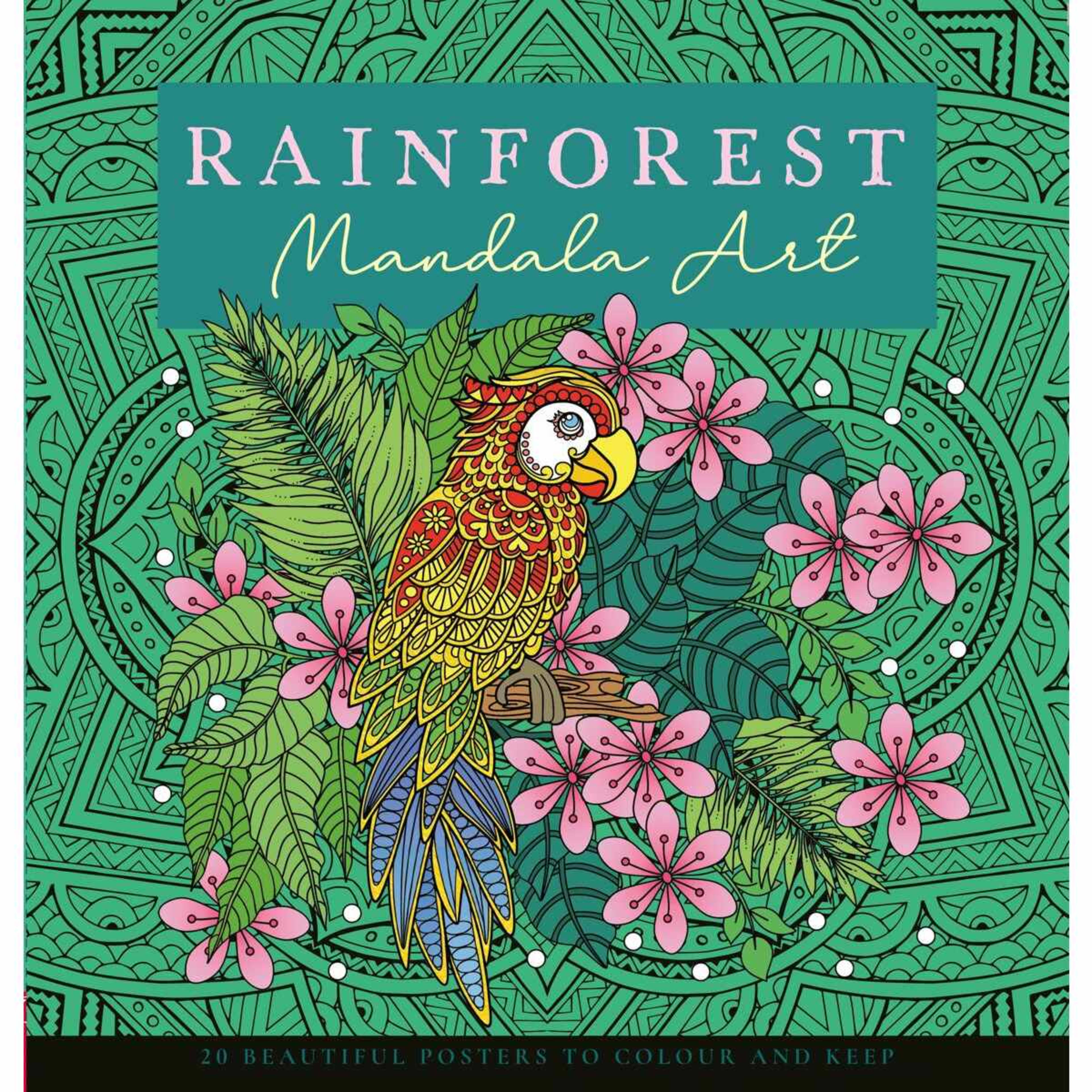 1 Mandala Poster Art: Rainforest - Book