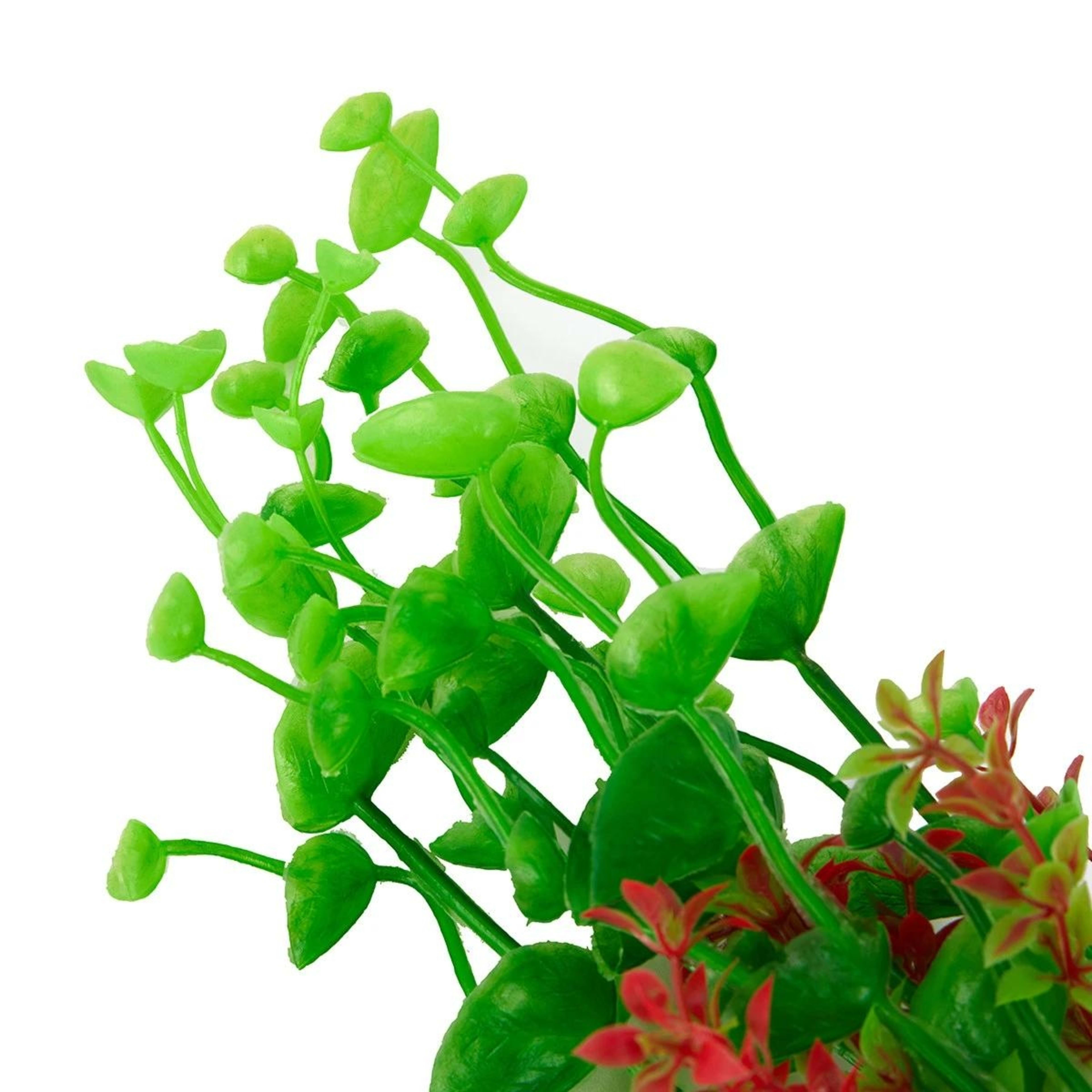 4 2 Pack Aquarium Plants Natural, 4 of 6