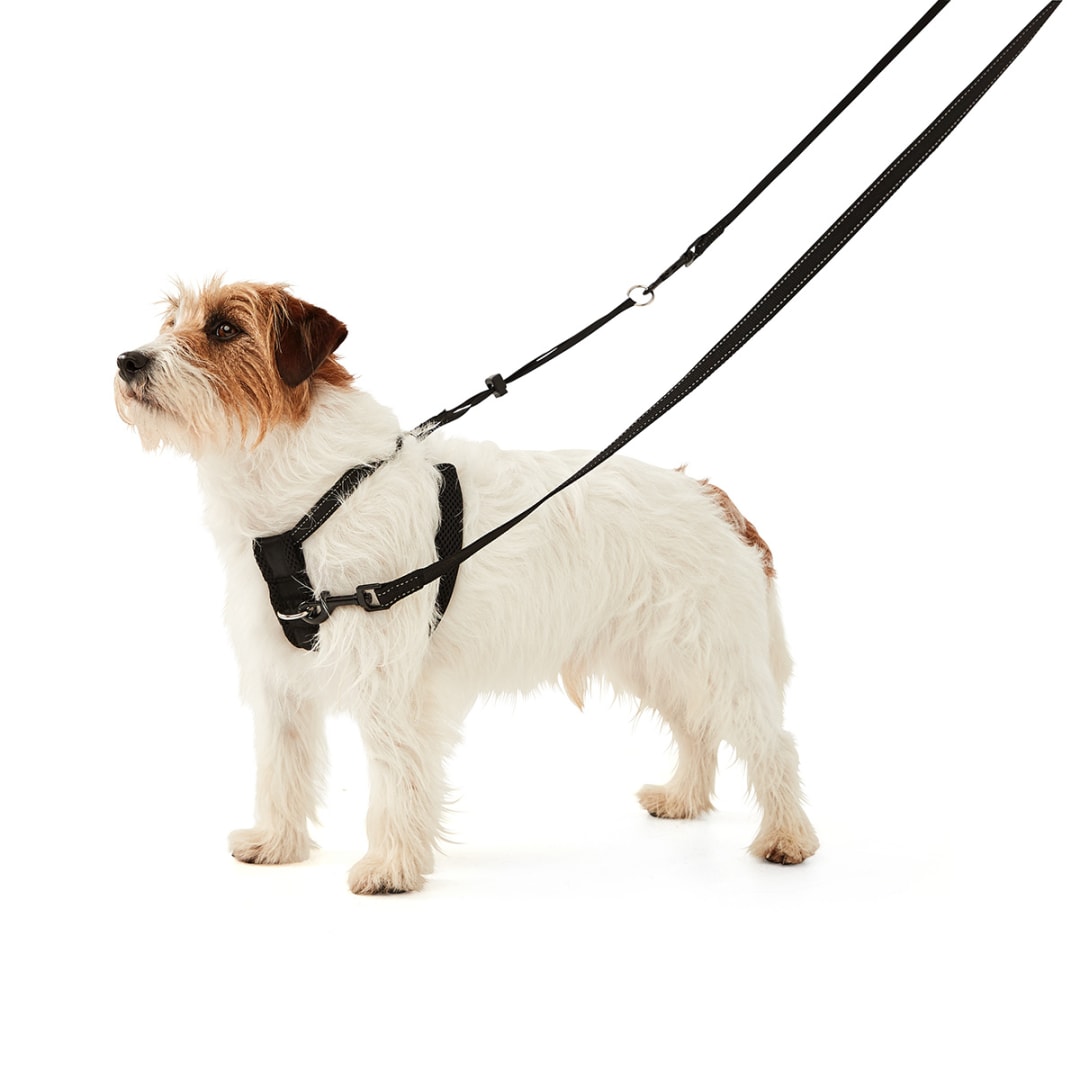 Dog No Pull Harness Small, Black Kmart