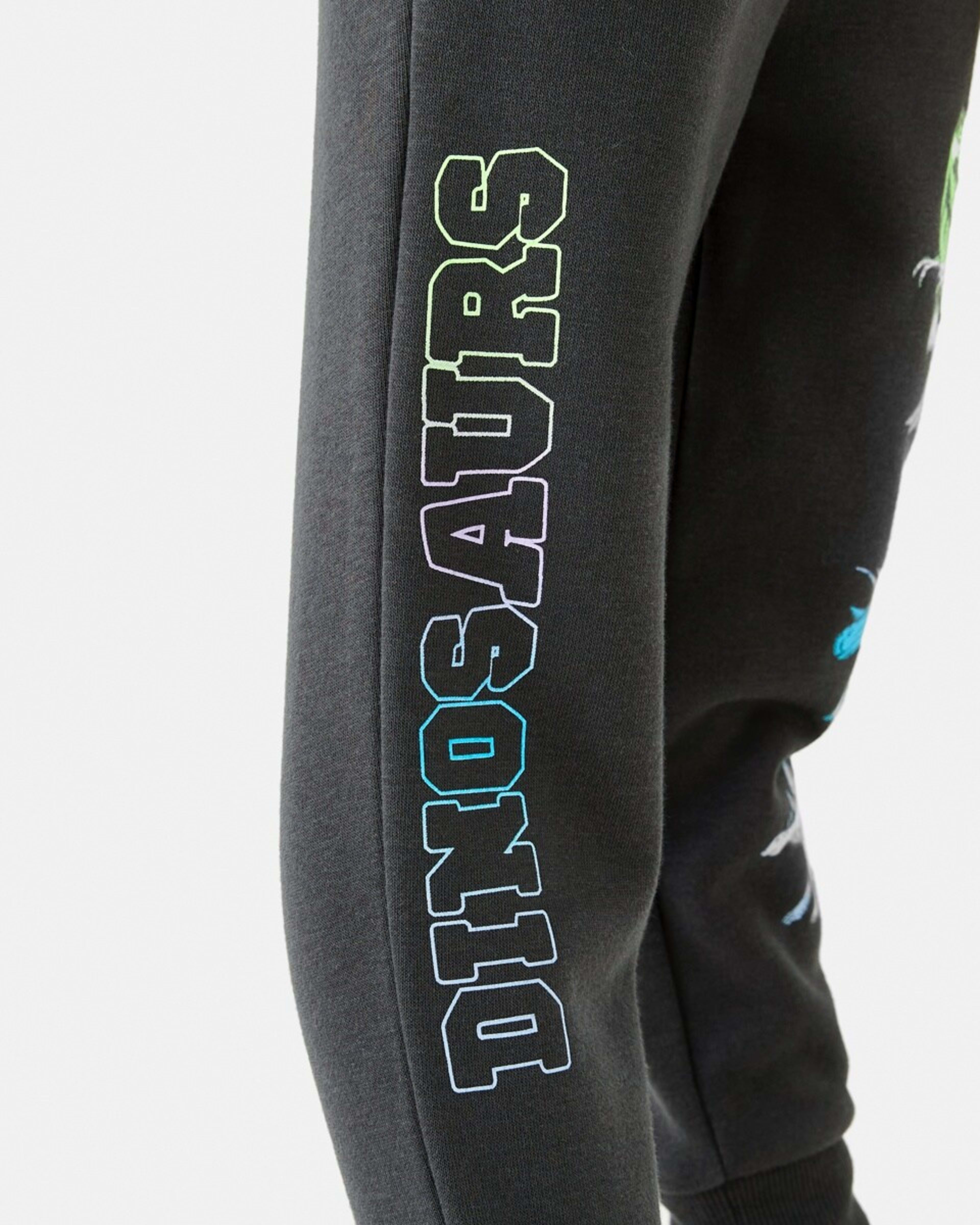 5 Print Trackpants Gry Dino, 5 of 10