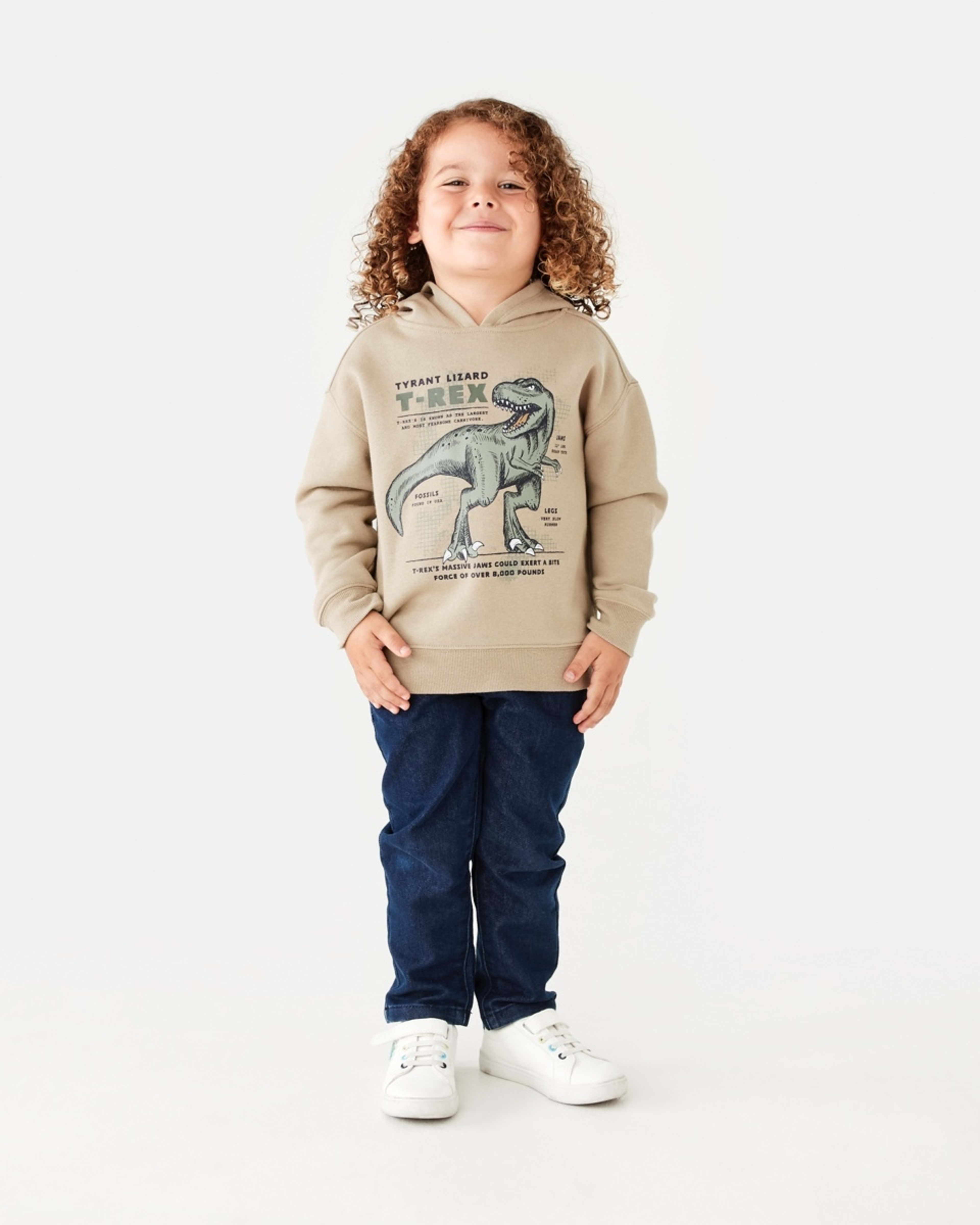 5 Print Hoodie Brn Dino, 5 of 8