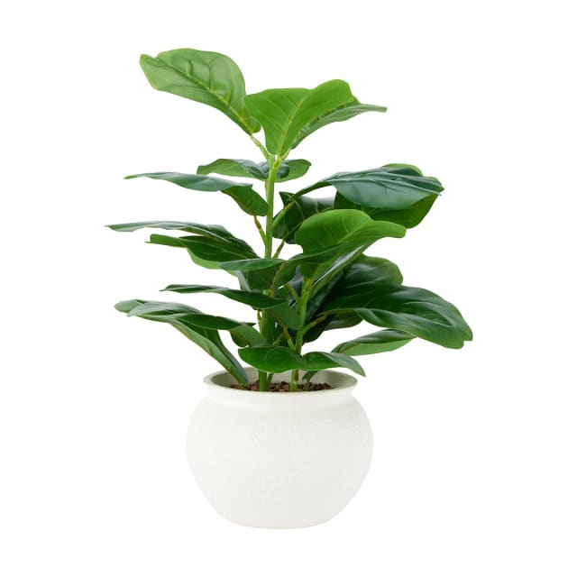 Artificial Fiddle Fig Plant in Pot Kmart