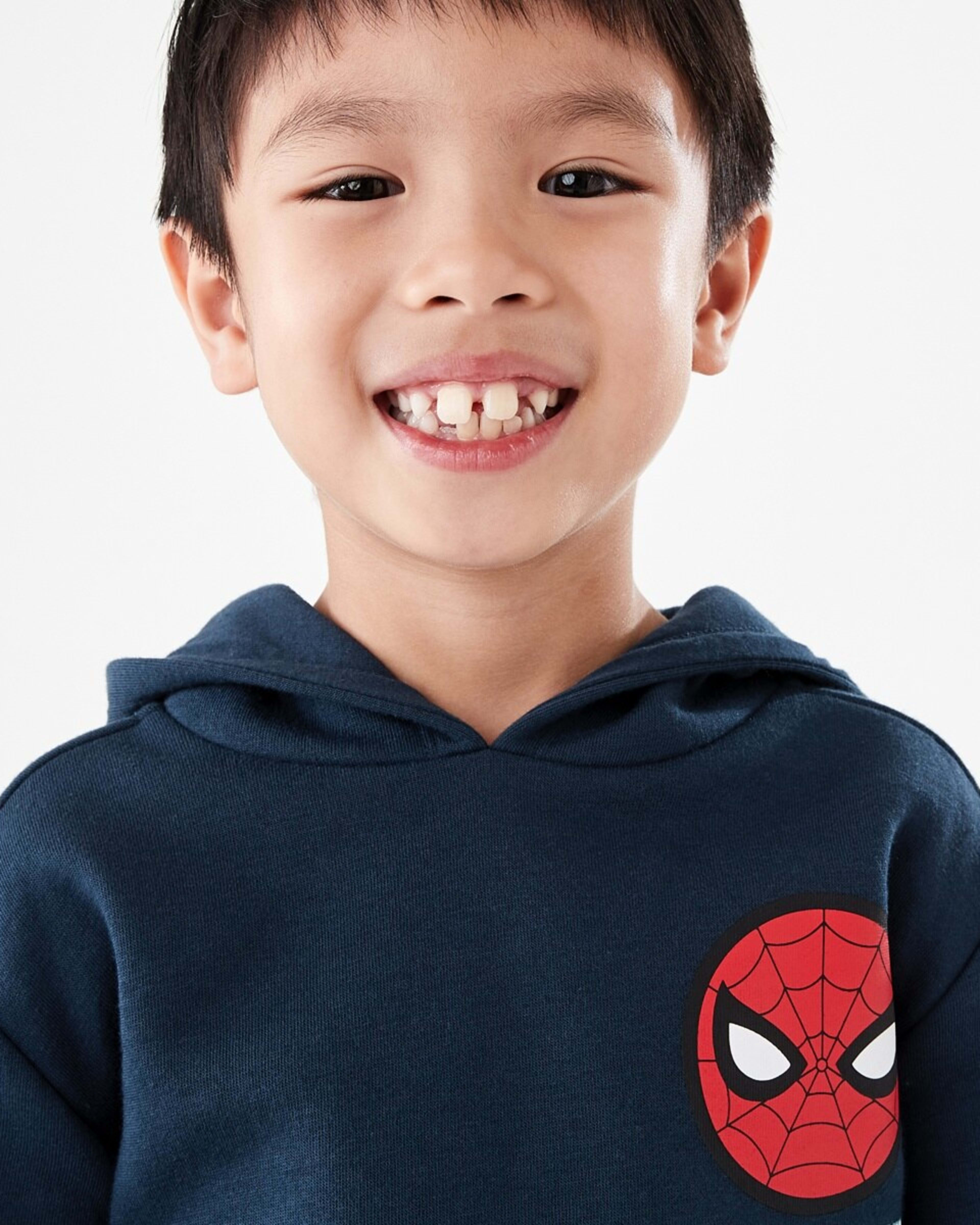 3 Spider-Man License Print Hoodie Spiderman Protector Of Ny, 3 of 9