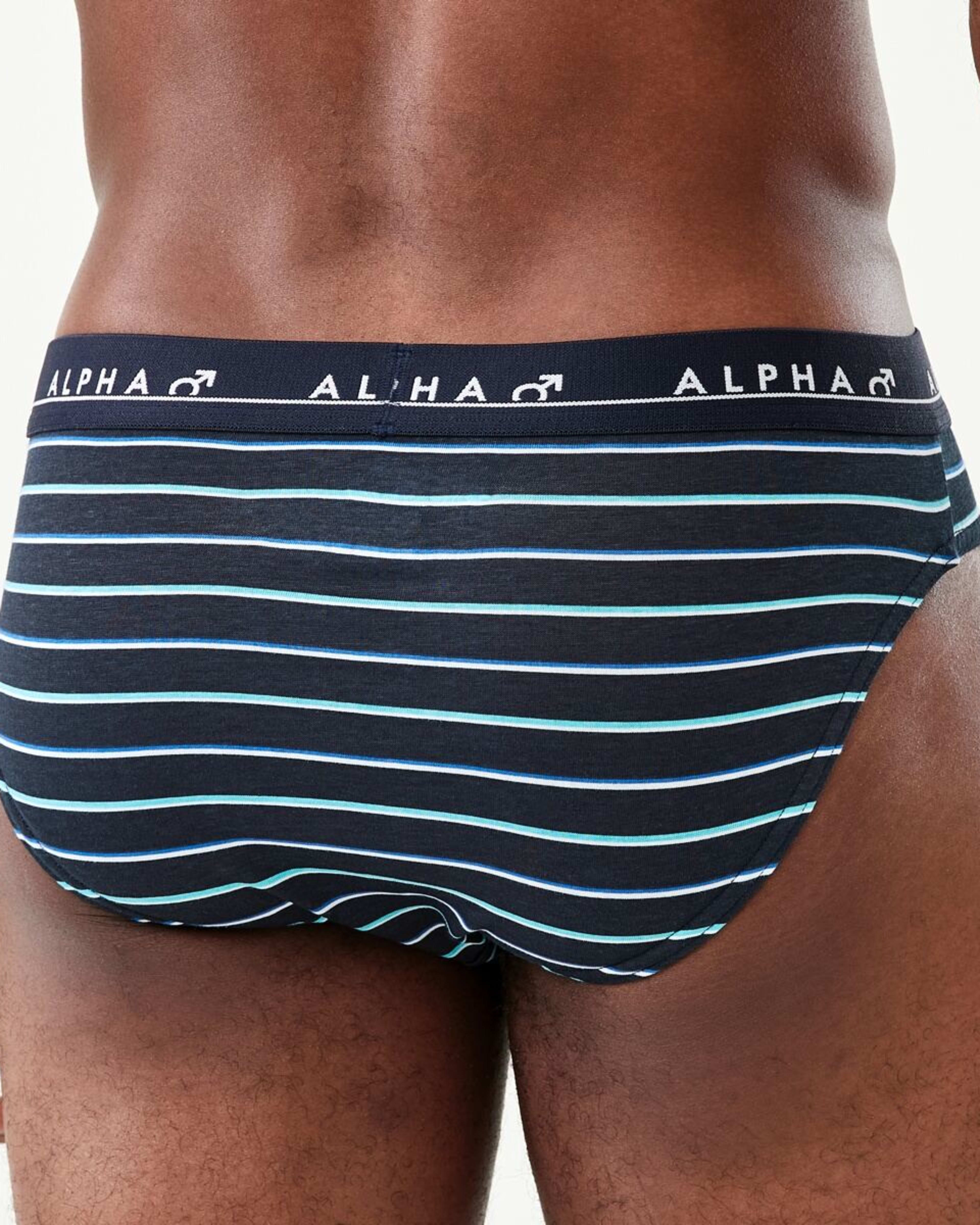 8 5 Pack Alpha Attached Elastic Hipster Briefs LIGHTSCAPE, 8 of 10
