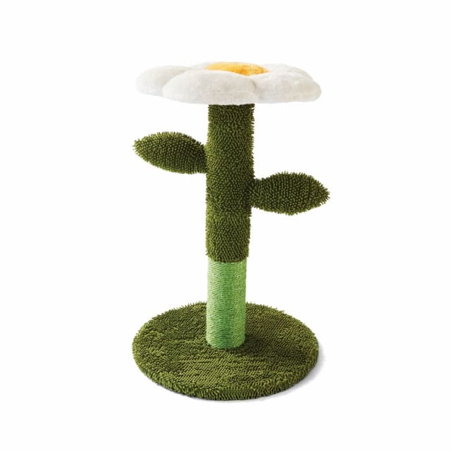 Cat Scratcher Flower Kmart