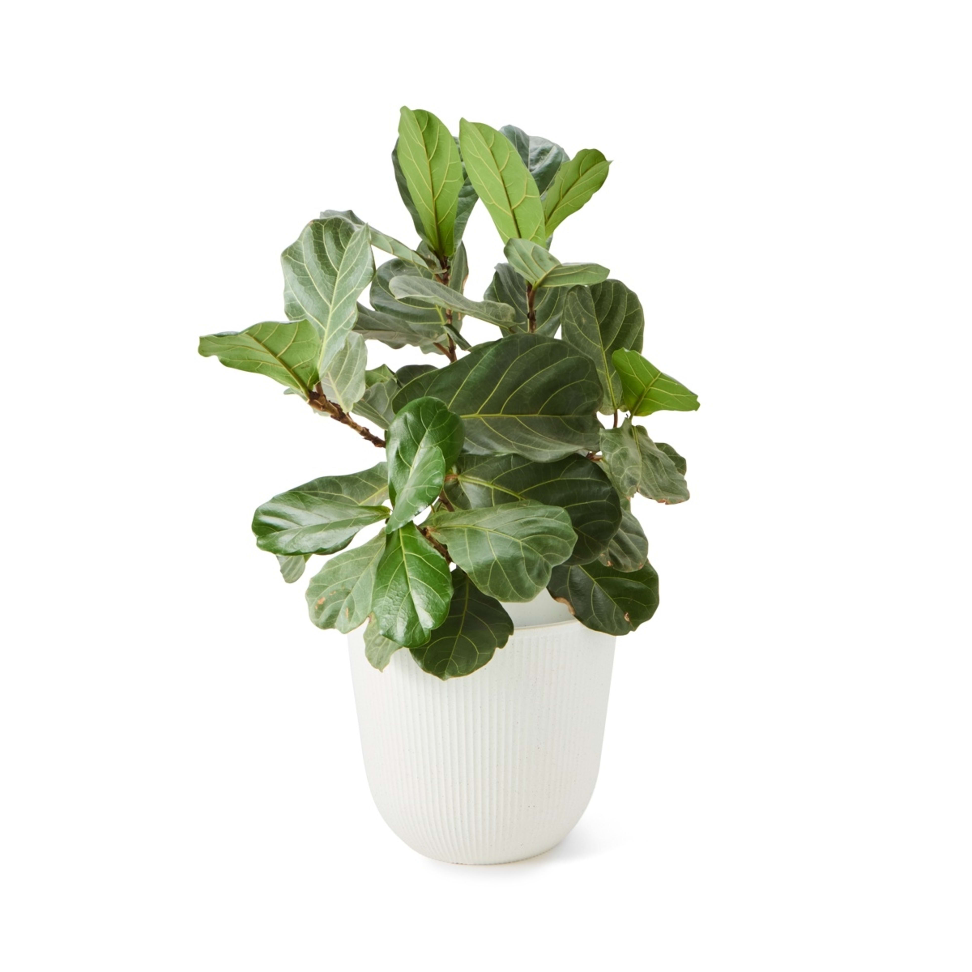 2 Set of 3 Linear Pots, 2 of 10