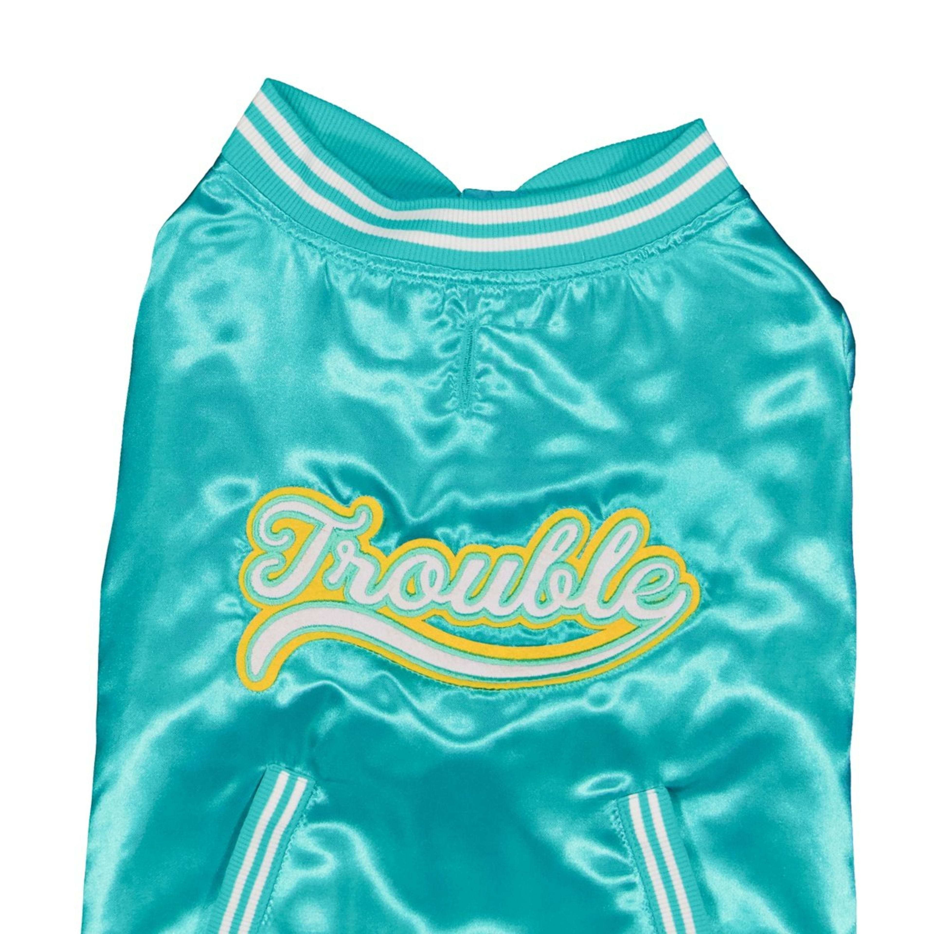 9 Pet Varsity Jacket - Large, Teal, 9 of 10