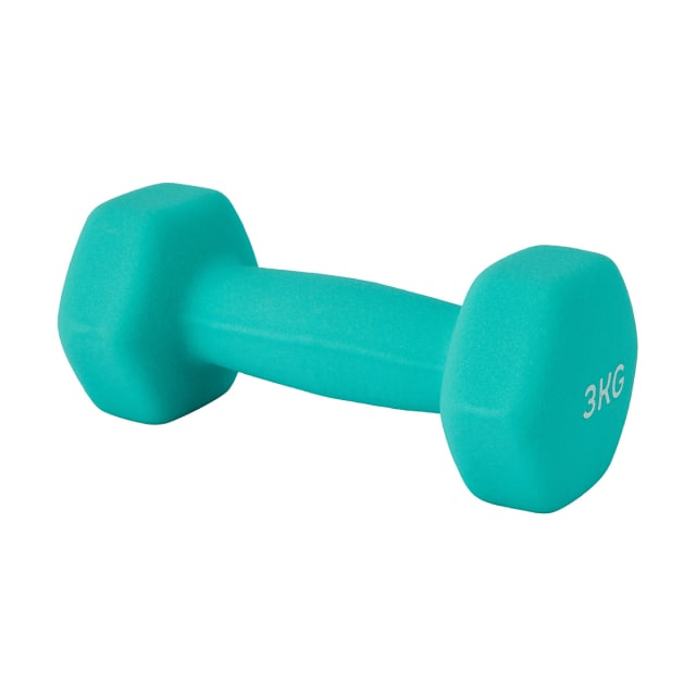 3kg Dumbbell - Kmart