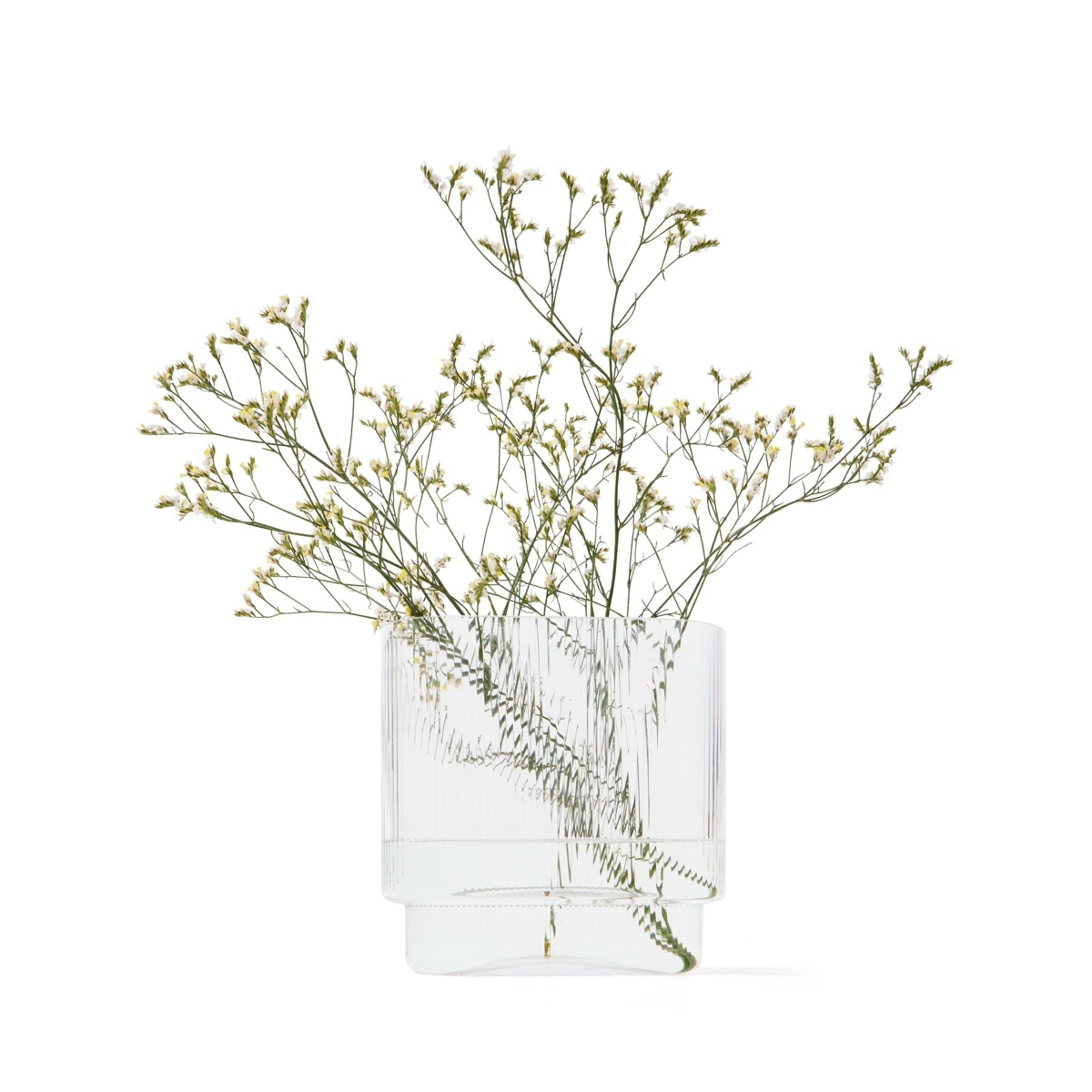 1 Linear Glass Vase