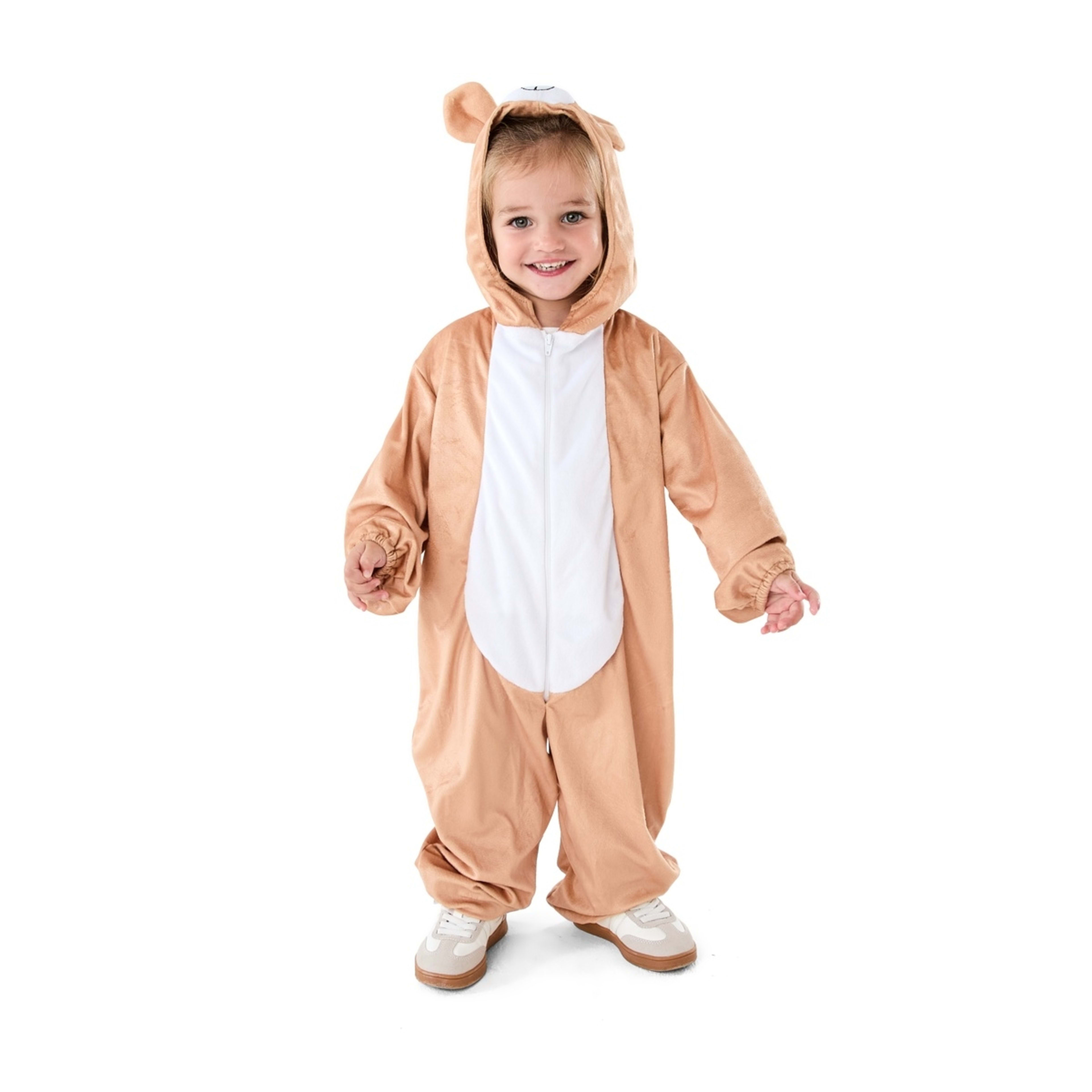 1 Bear Costume - Ages 2-3, 1 of 9
