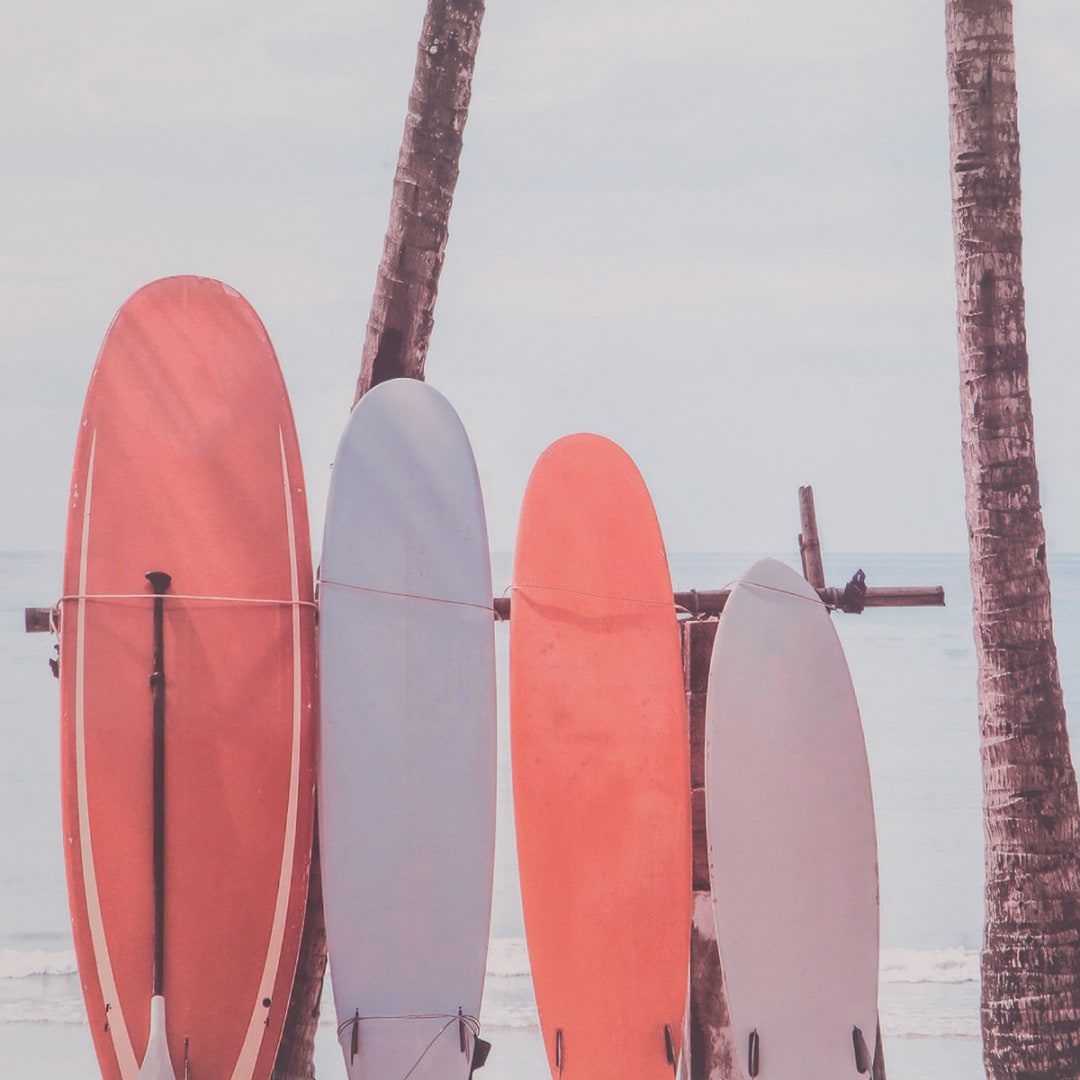 Surfboards Framed Print Kmart