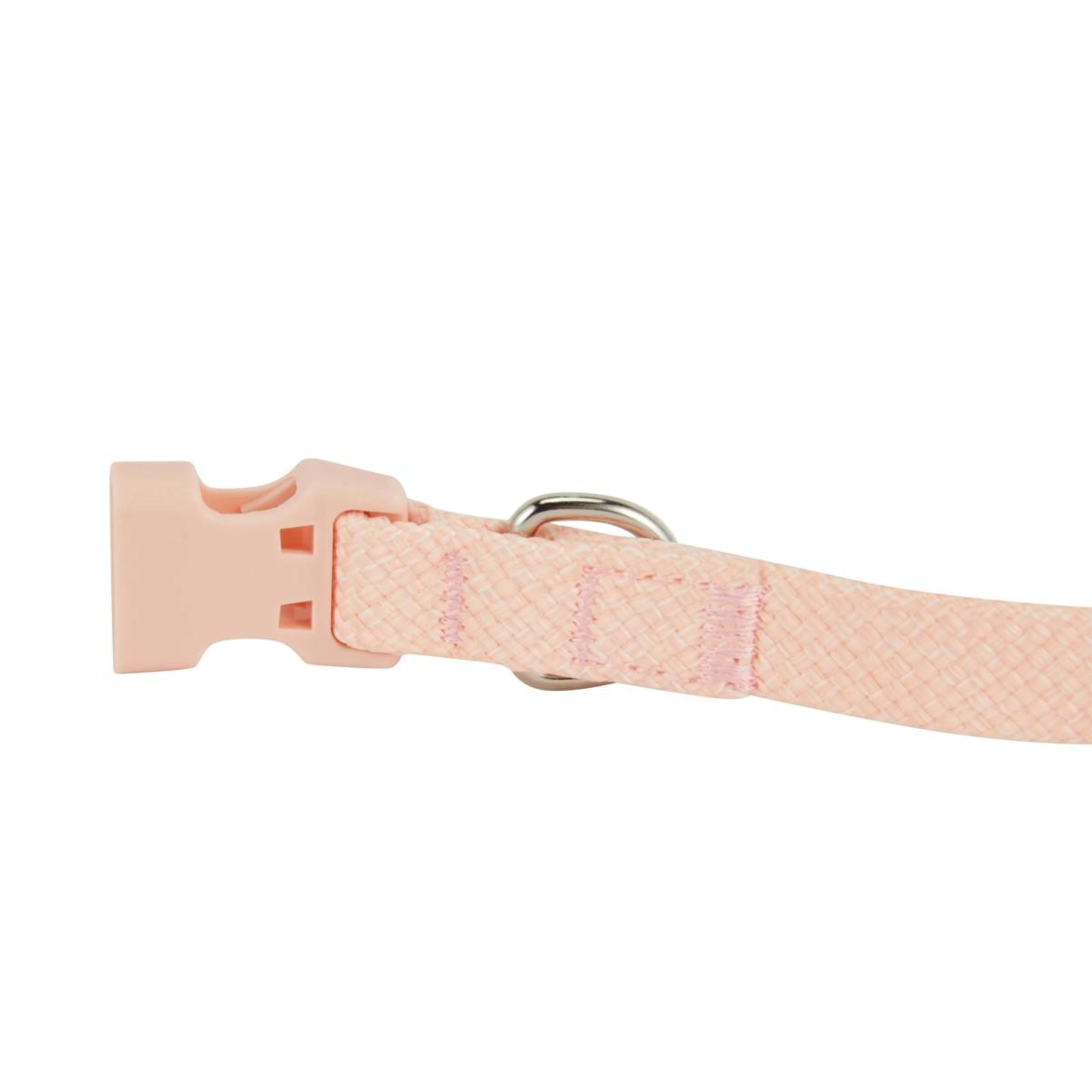 4 Pet Collar - Small, Pink, 4 of 6
