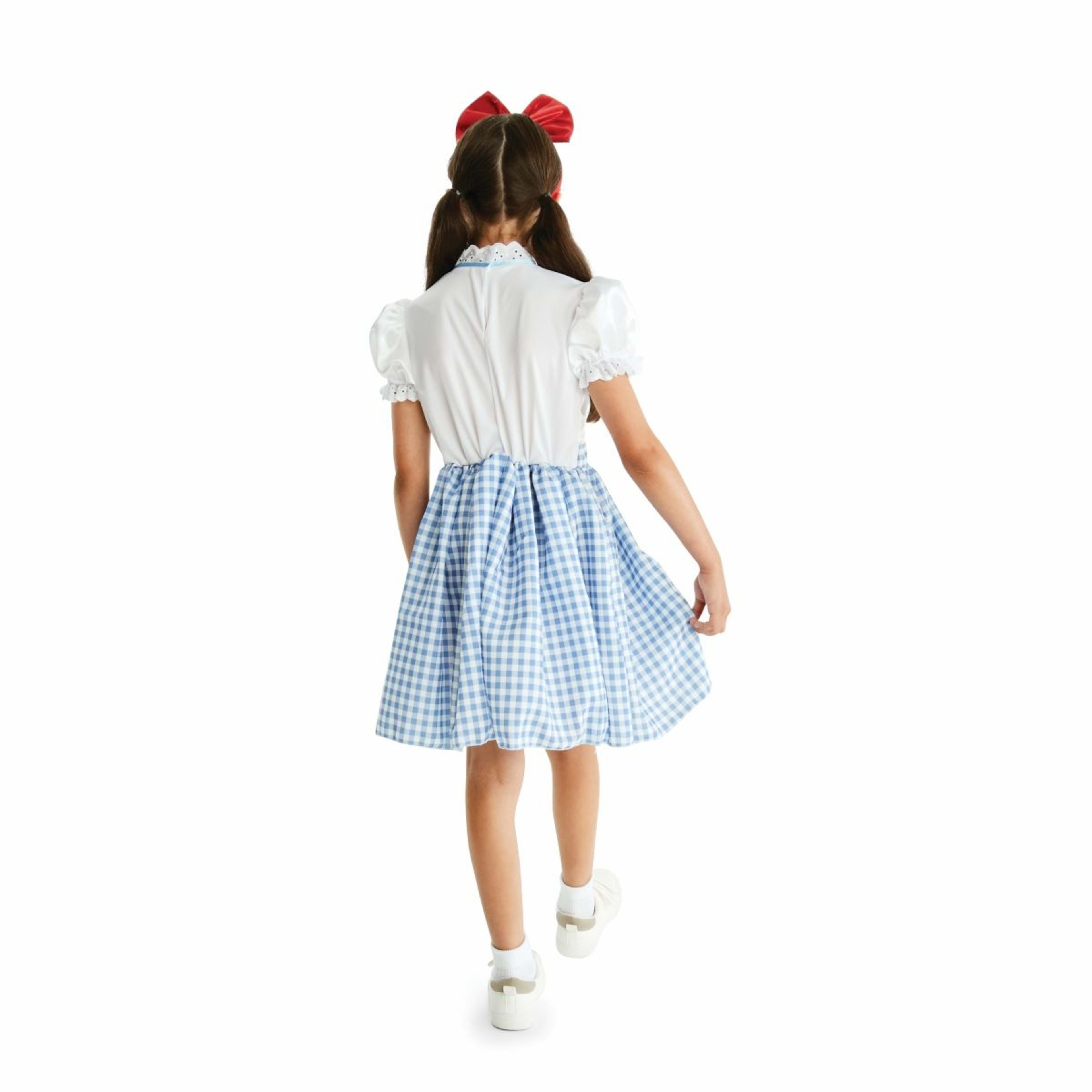 2 Country Girl Costume - Ages 6-8, 2 of 10
