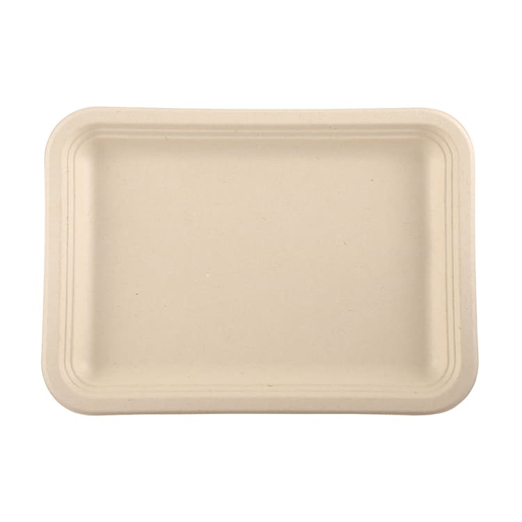 2 Pack Sugarcane Pulp Platters Kmart