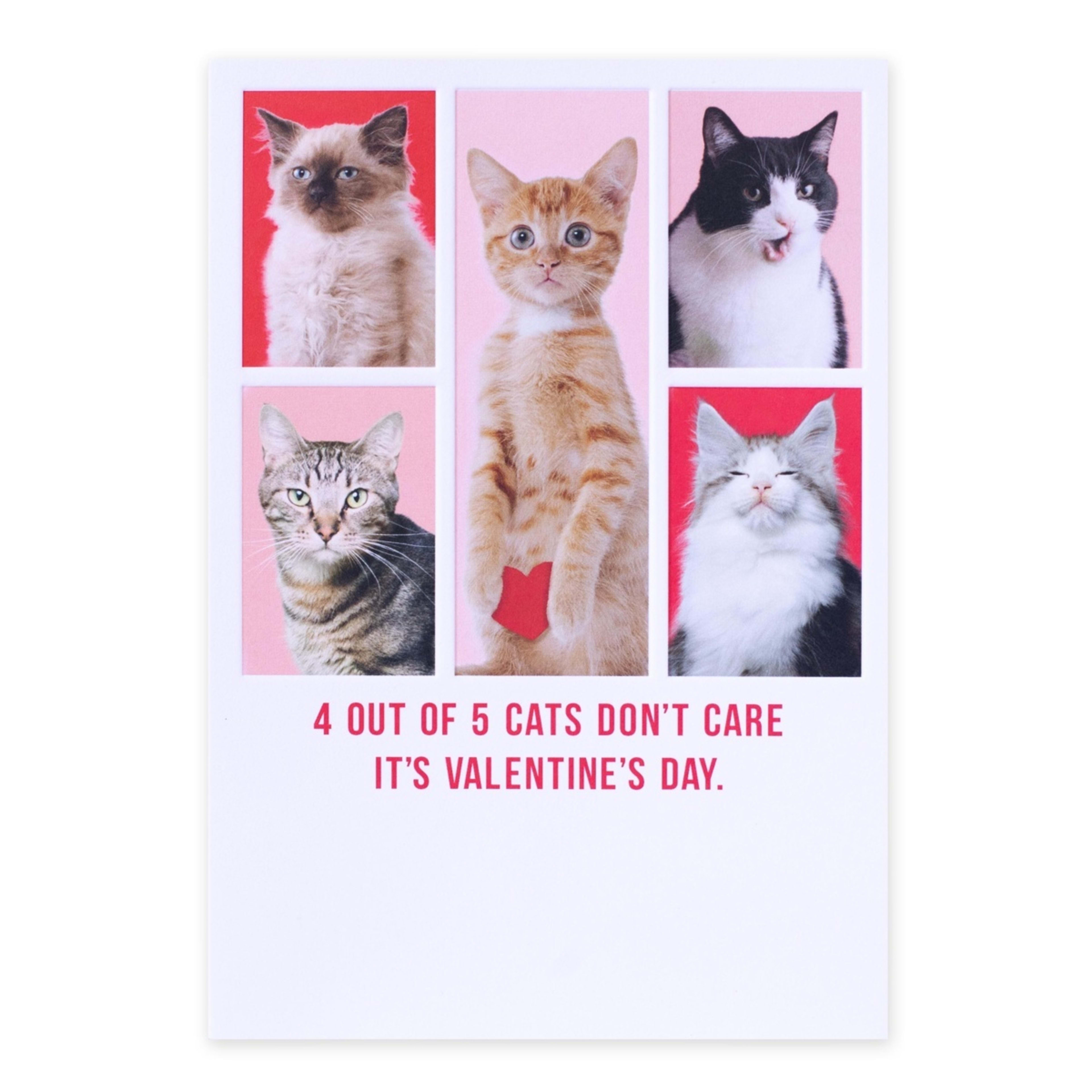 3 Hallmark Shoebox Valentine's Day Card - 4 out of 5 Cats Don't Care It's Valentine's Day, 3 of 3