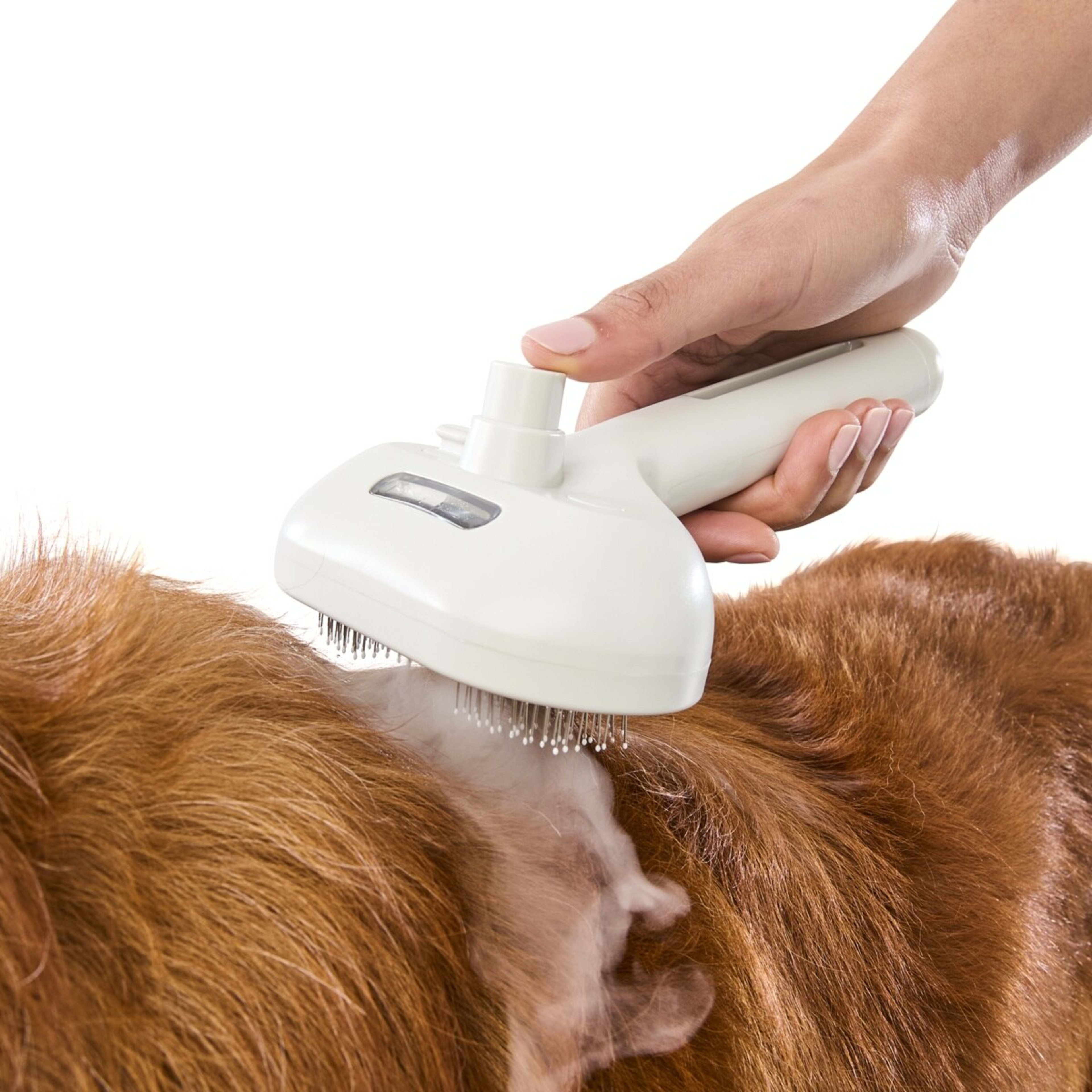 1 Pet Steamer Comb, 1 of 10