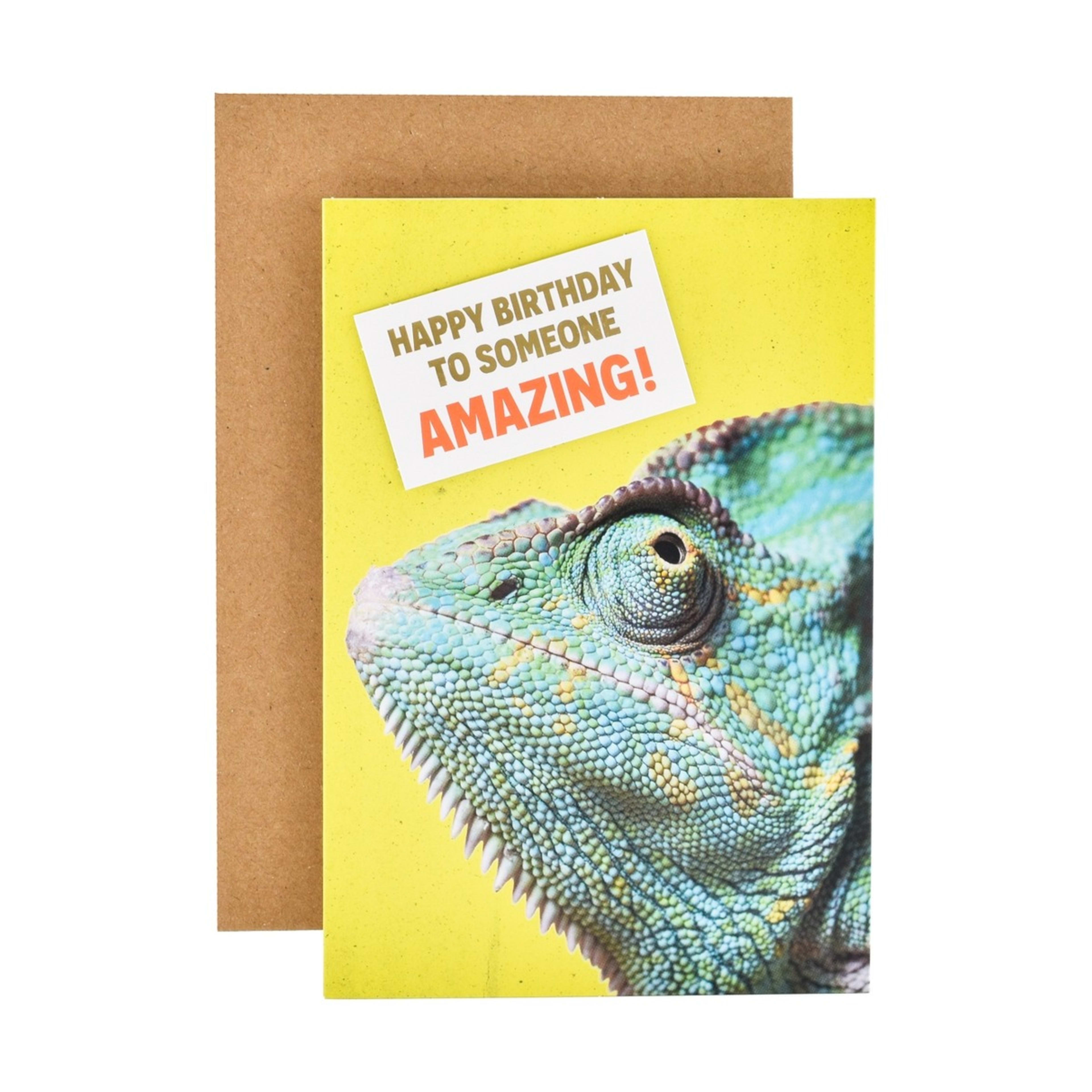 1 Hallmark Birthday Card - Cheeky Chameleon