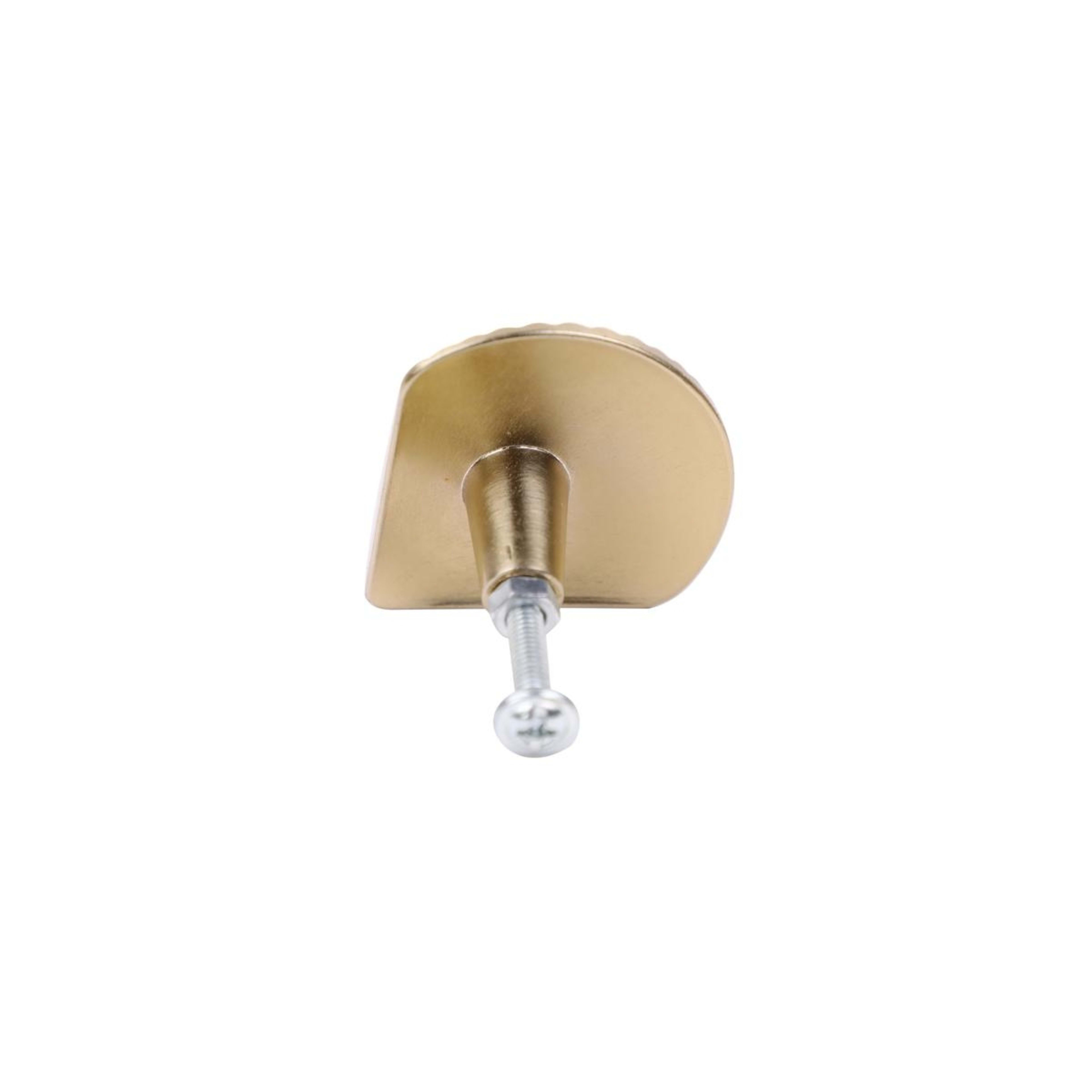 5 2 Pack Shell Handles - Gold Look, 5 of 8